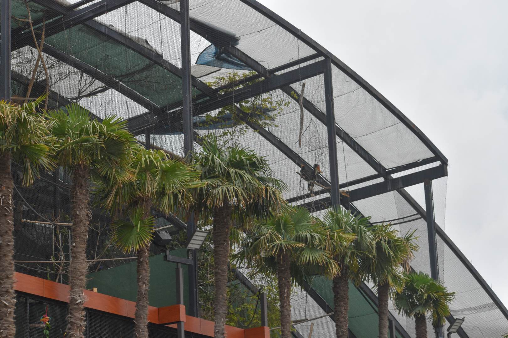 Apr. 2025 - Exhibits from the Parking Lot