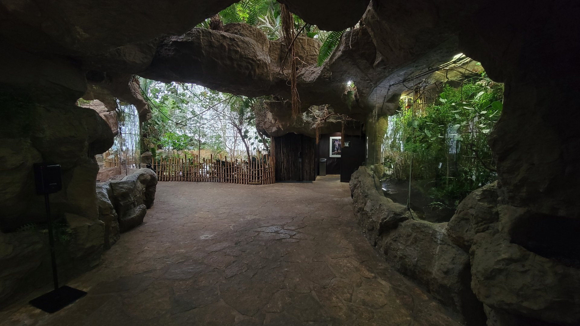 Apr. 2025 - First Look at the Orinoco Rainforest