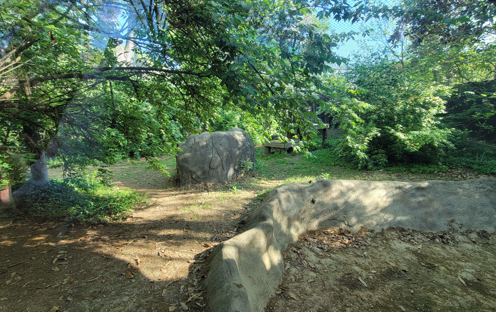 Apr. 2025 - Gombe Forest - Chimpanzee/Black Mangabey Exhibit