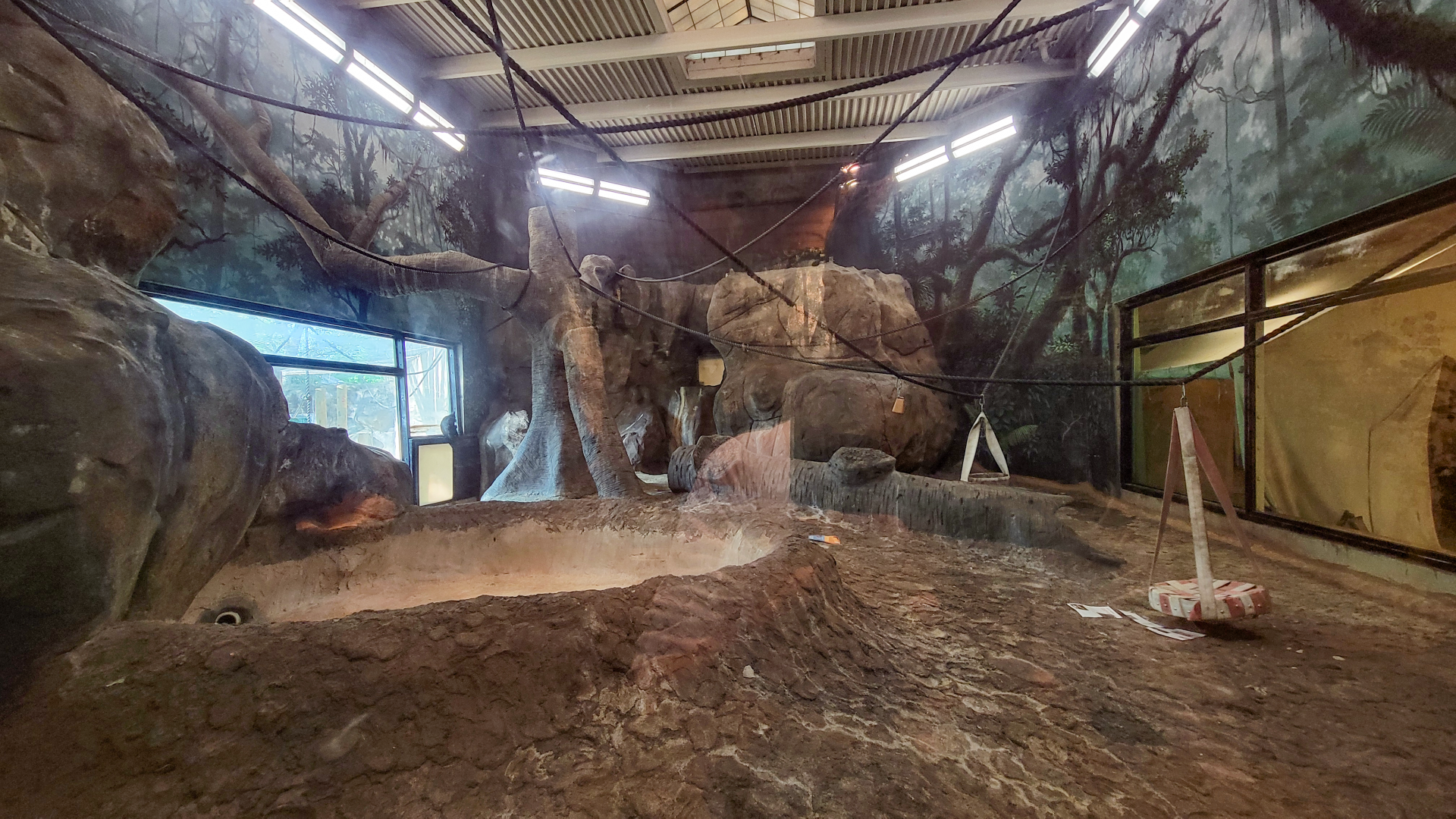 Apr. 2025 - Gombe Forest - Chimpanzee Interpretive Center - Chimpanzee/Black Mangabey Indoor Exhibit (Rotate)