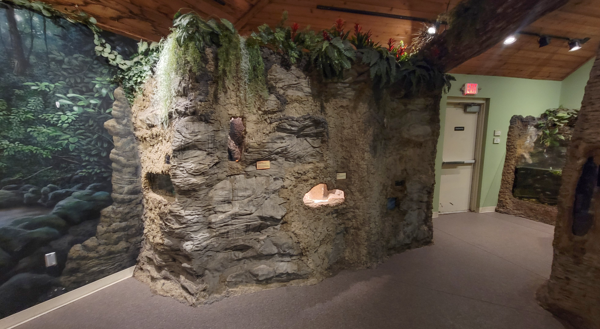 Apr. 2025 - Gombe Forest - Chimpanzee Interpretive Center - Wall Exhibits