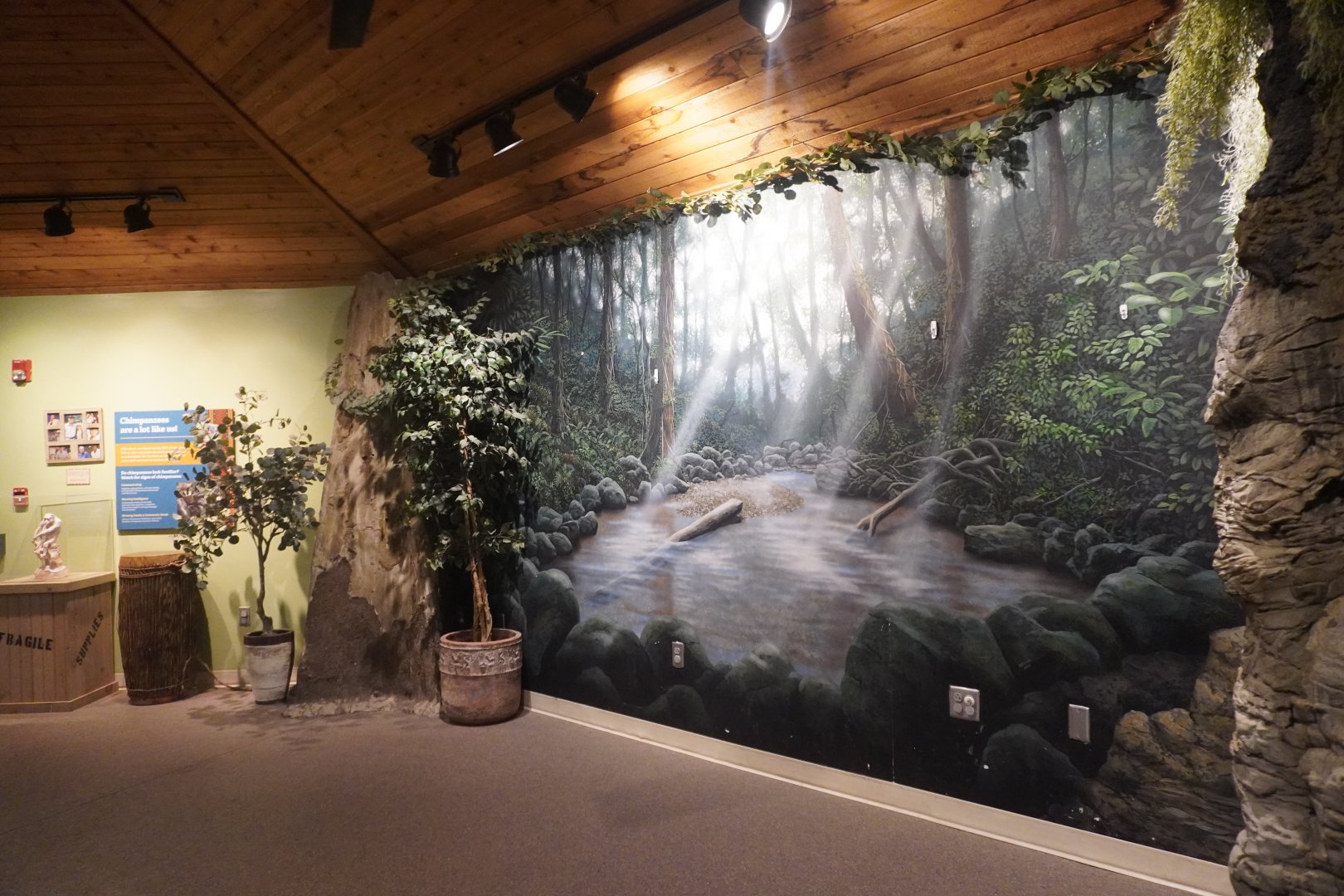 Apr. 2025 - Gombe Forest - Chimpanzee Interpretive Center