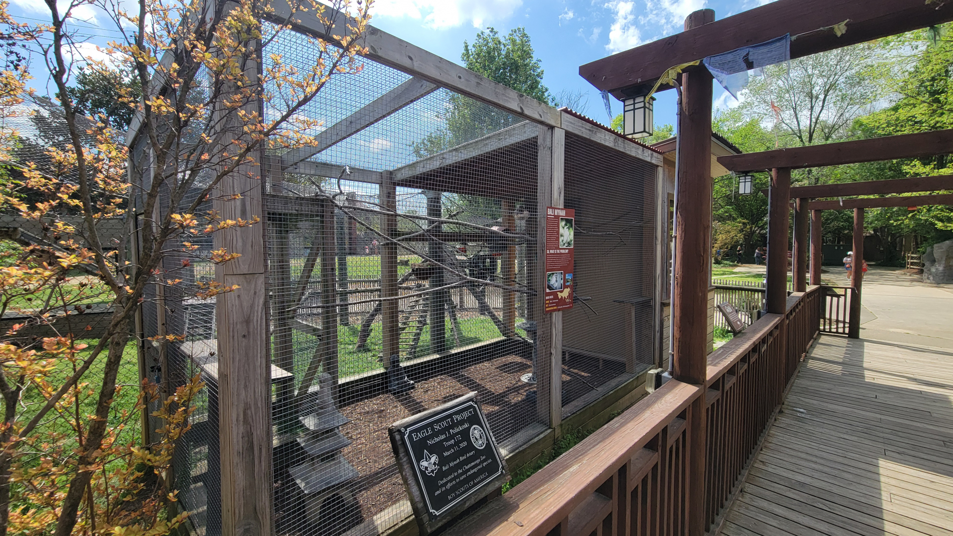 Apr. 2025 - Himalayan Passage - Bali Mynah Exhibit