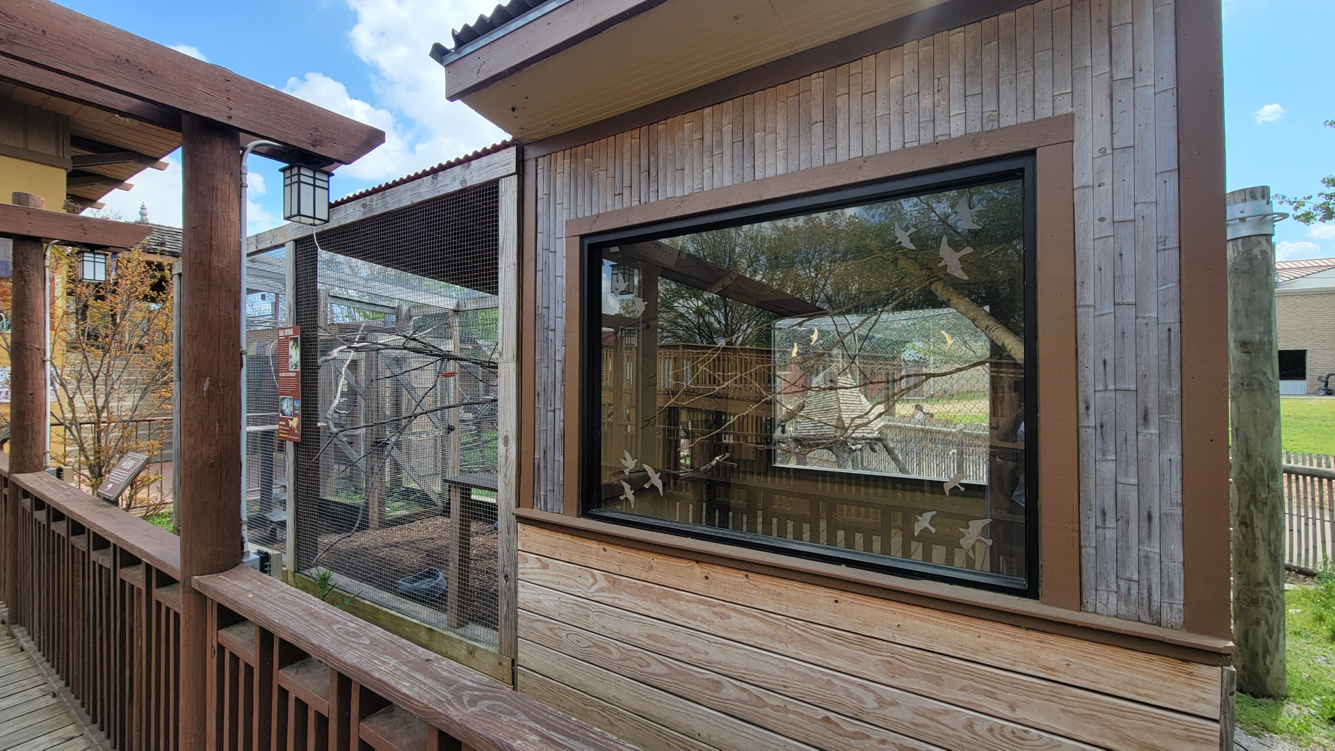 Apr. 2025 - Himalayan Passage - Bali Mynah Exhibit