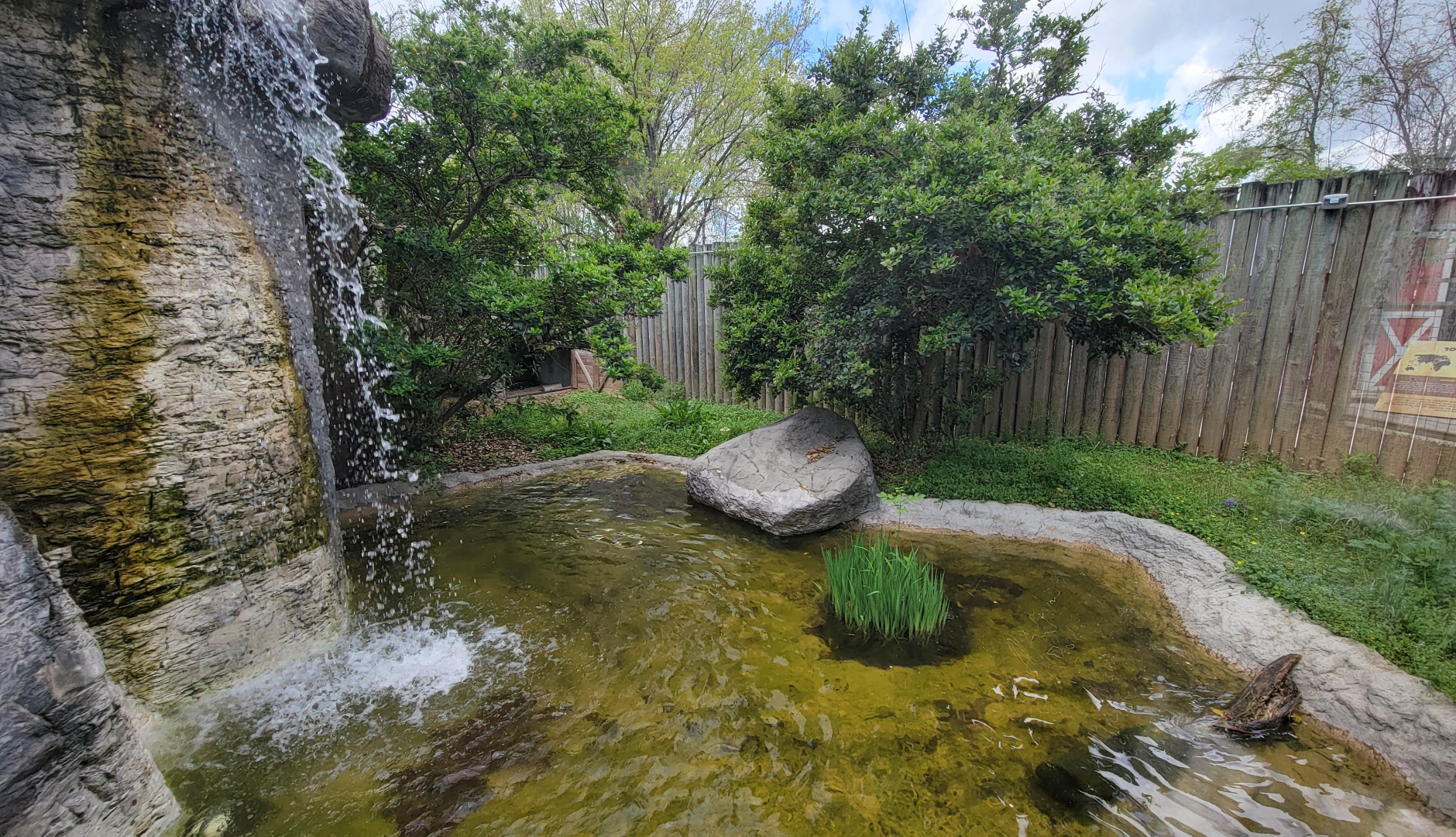 Apr. 2025 - Himalayan Passage - Chinese Alligator Exhibit