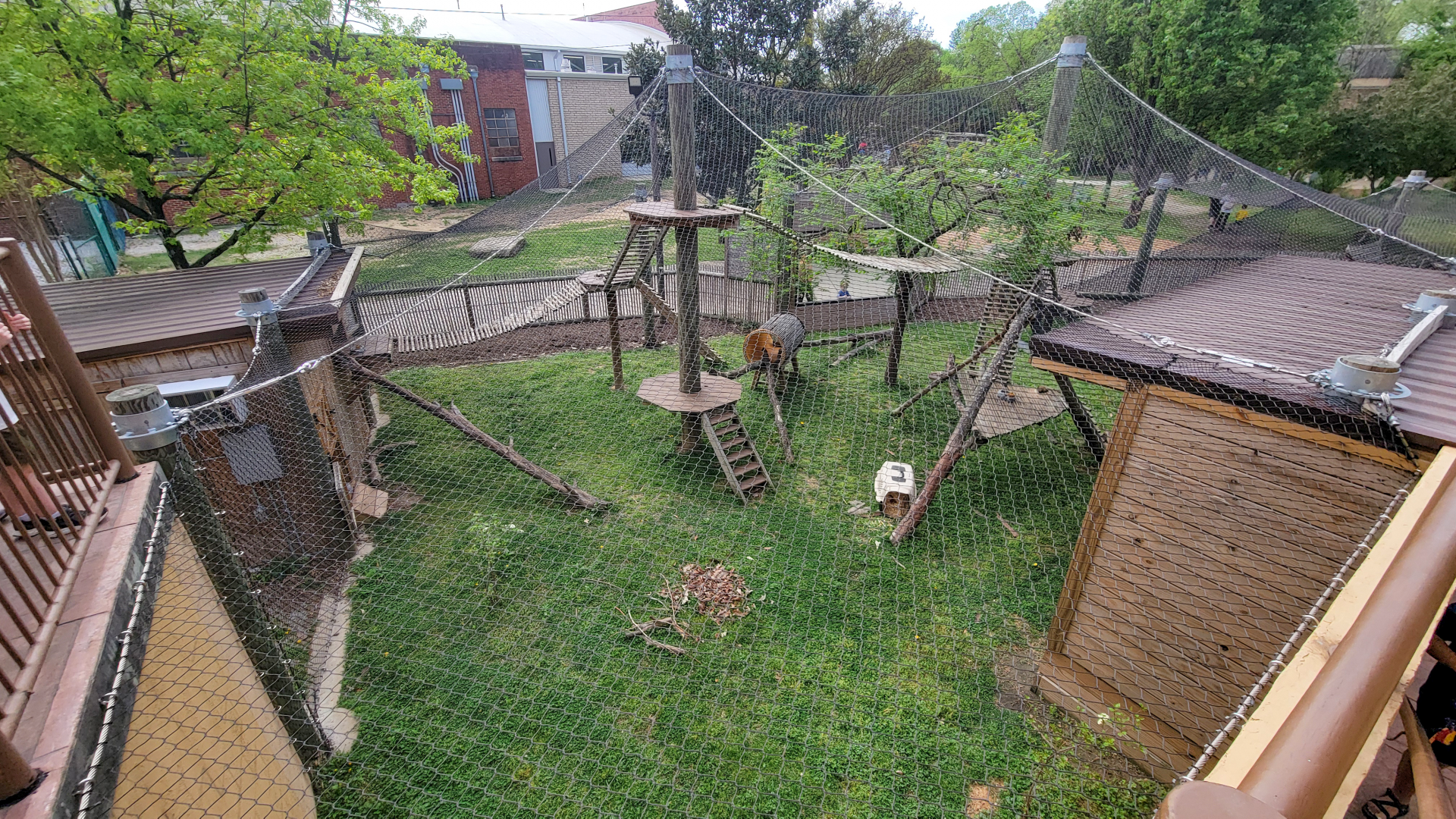 Apr. 2025 - Himalayan Passage - Red Panda Exhibit