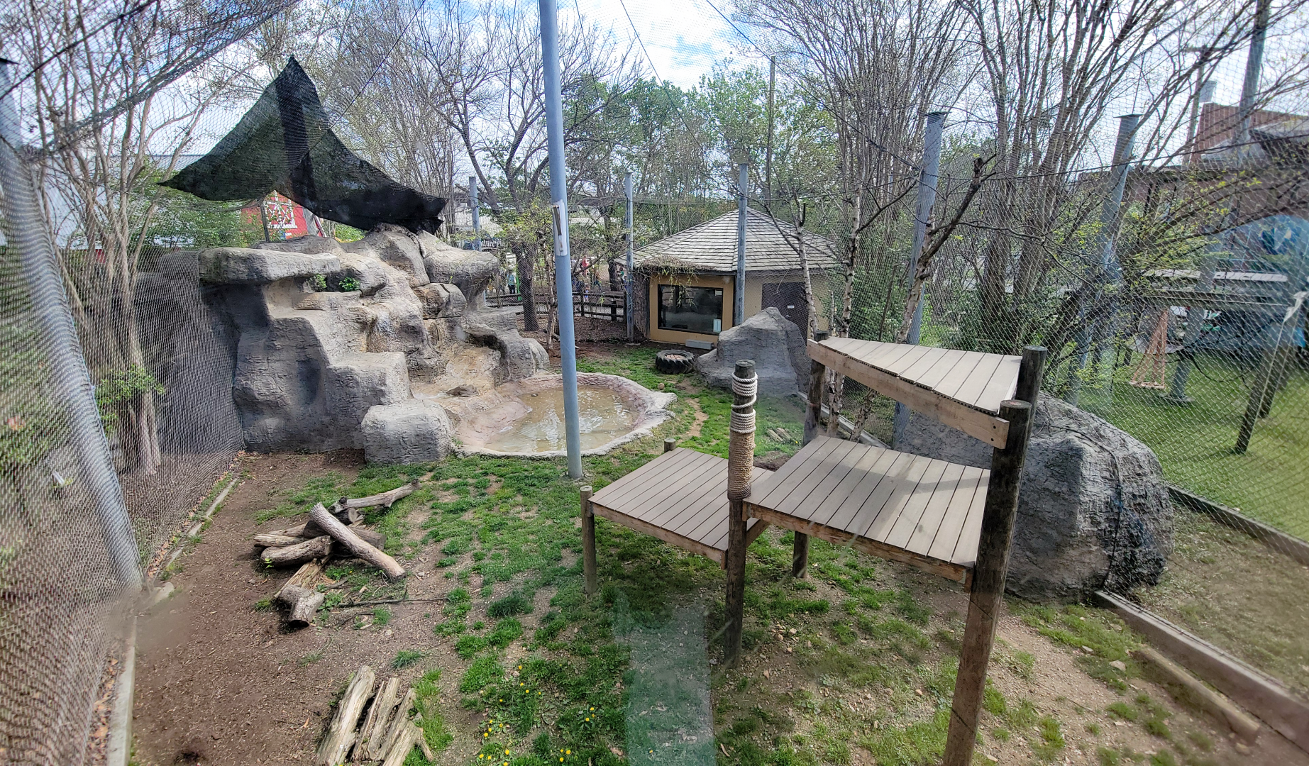 Apr. 2025 - Himalayan Passage - Snow Leopard Exhibit