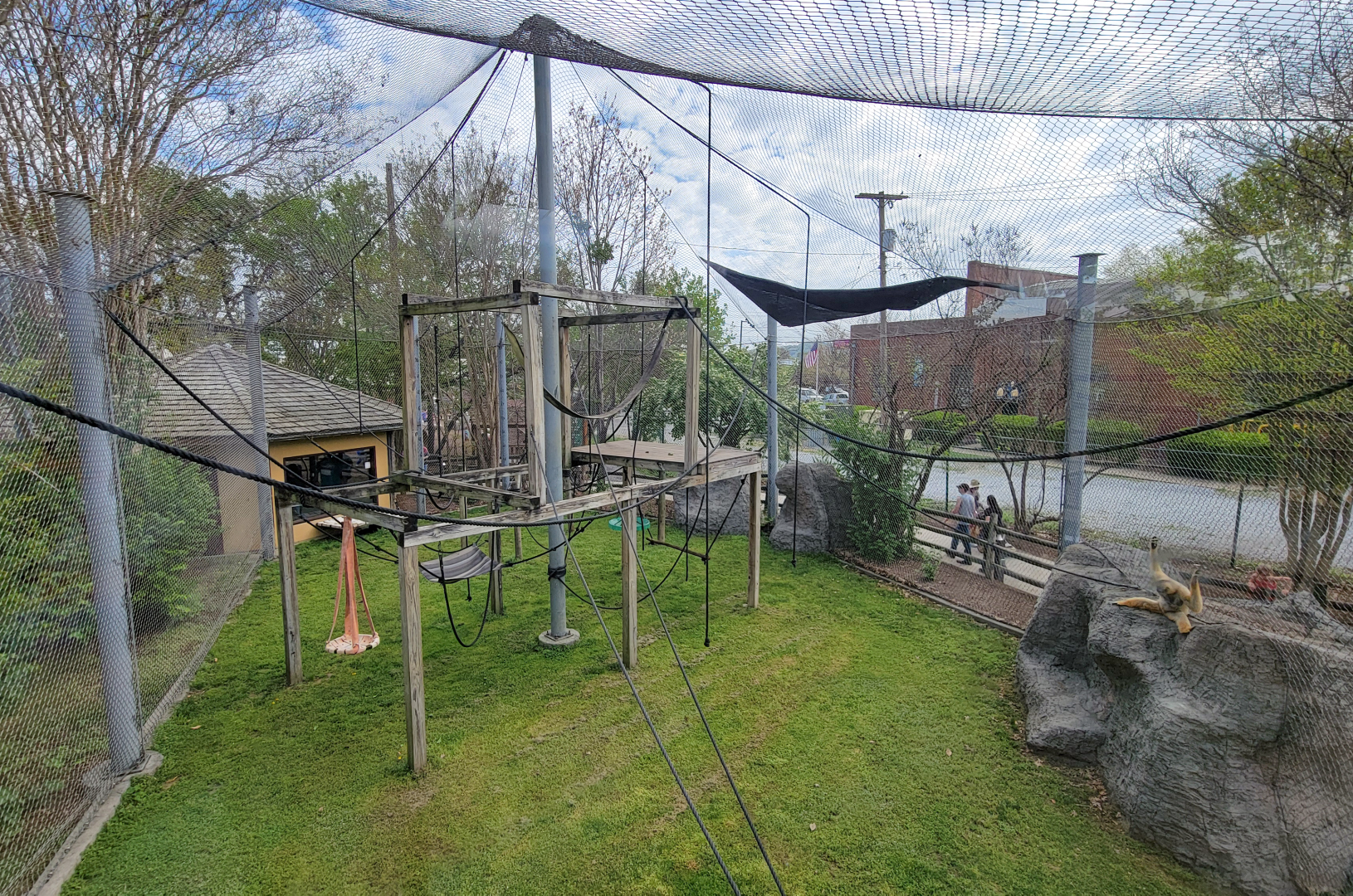 Apr. 2025 - Himalayan Passage - White-cheeked Gibbon Exhibit - Upper View
