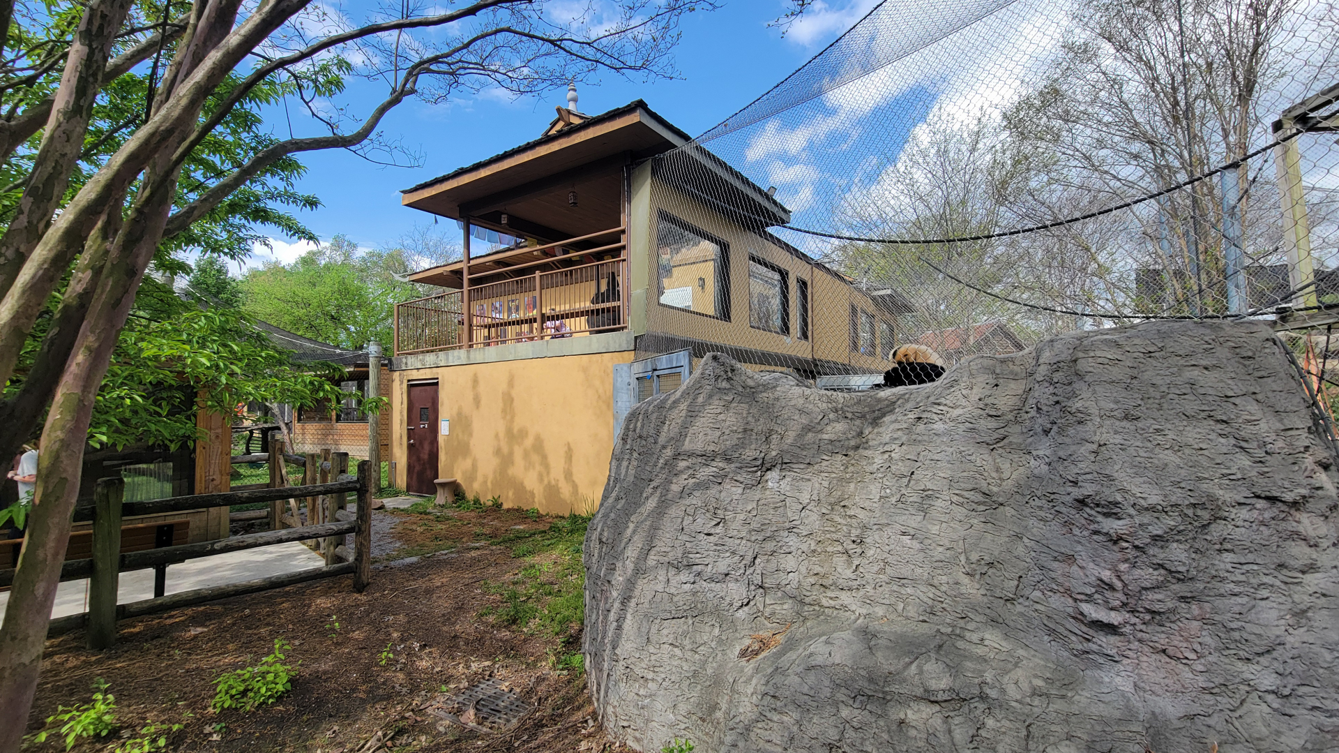 Apr. 2025 - Himalayan Passage - White-cheeked Gibbon Exhibit