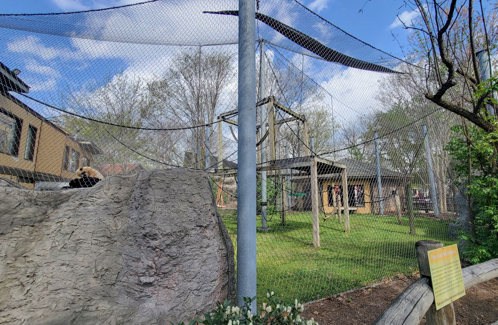 Apr. 2025 - Himalayan Passage - White-cheeked Gibbon Exhibit