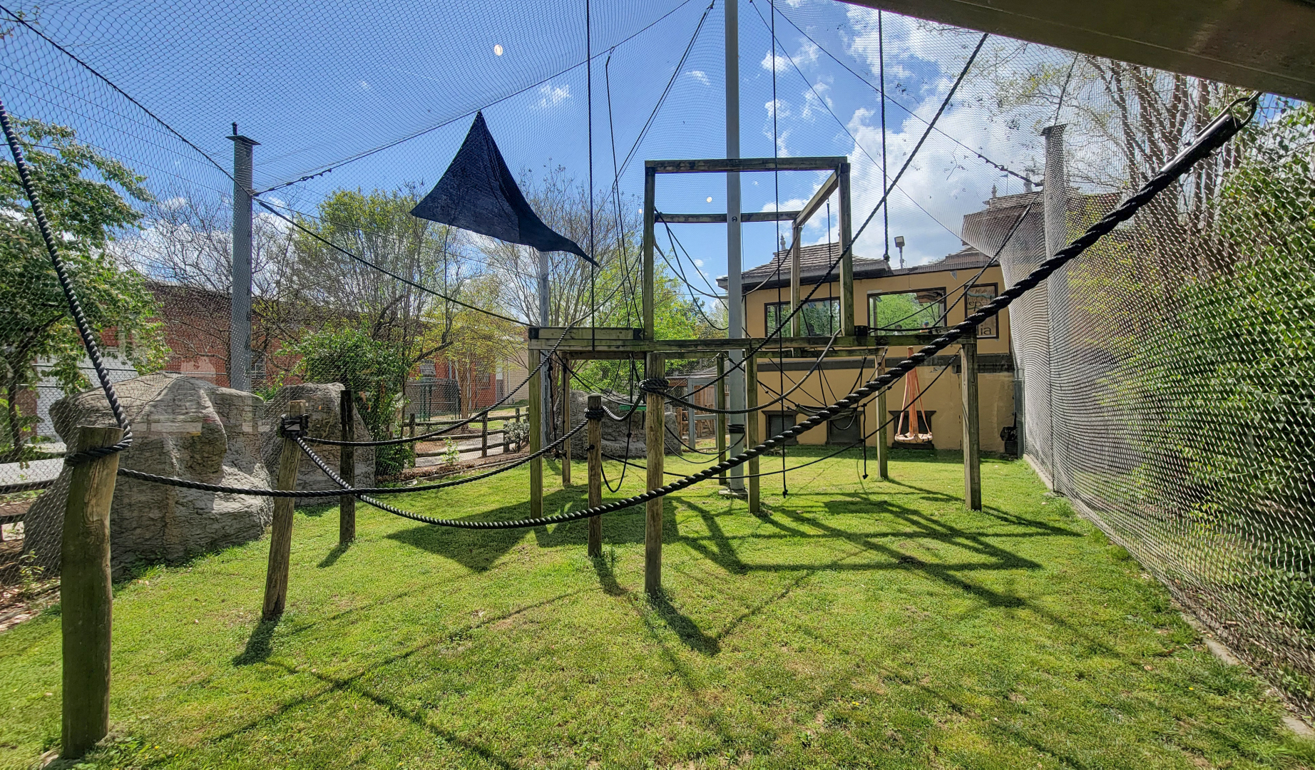 Apr. 2025 - Himalayan Passage - White-cheeked Gibbon Exhibit