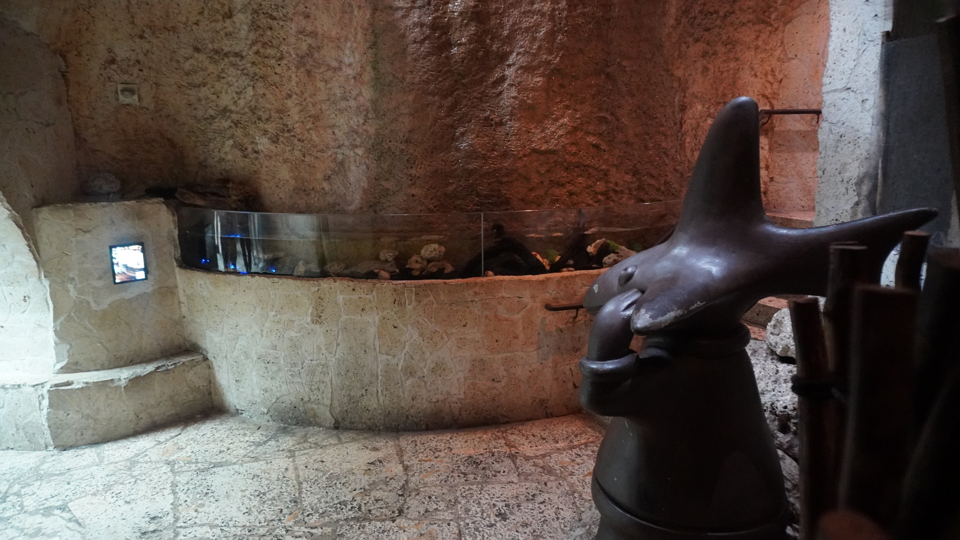 Apr. 2025 - Mundo Maya - Axolotl Exhibit