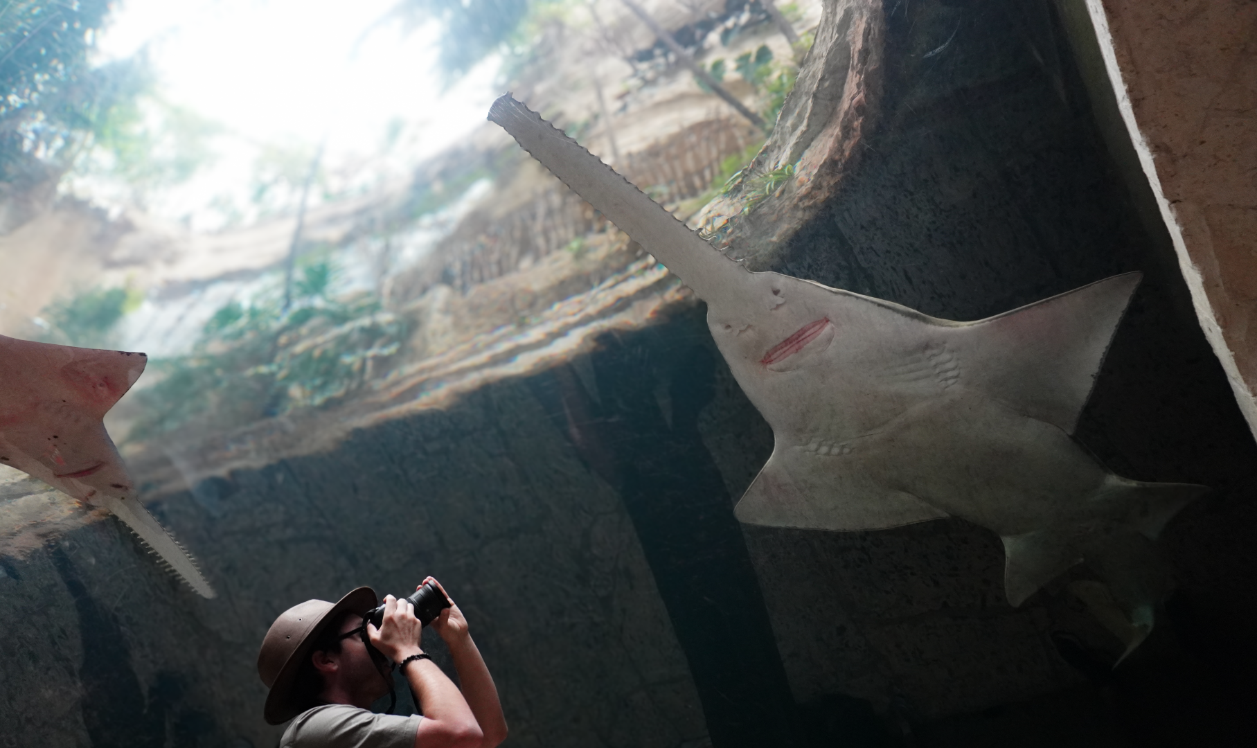 Apr. 2025 - Mundo Maya - Cenote + a Zoochatter