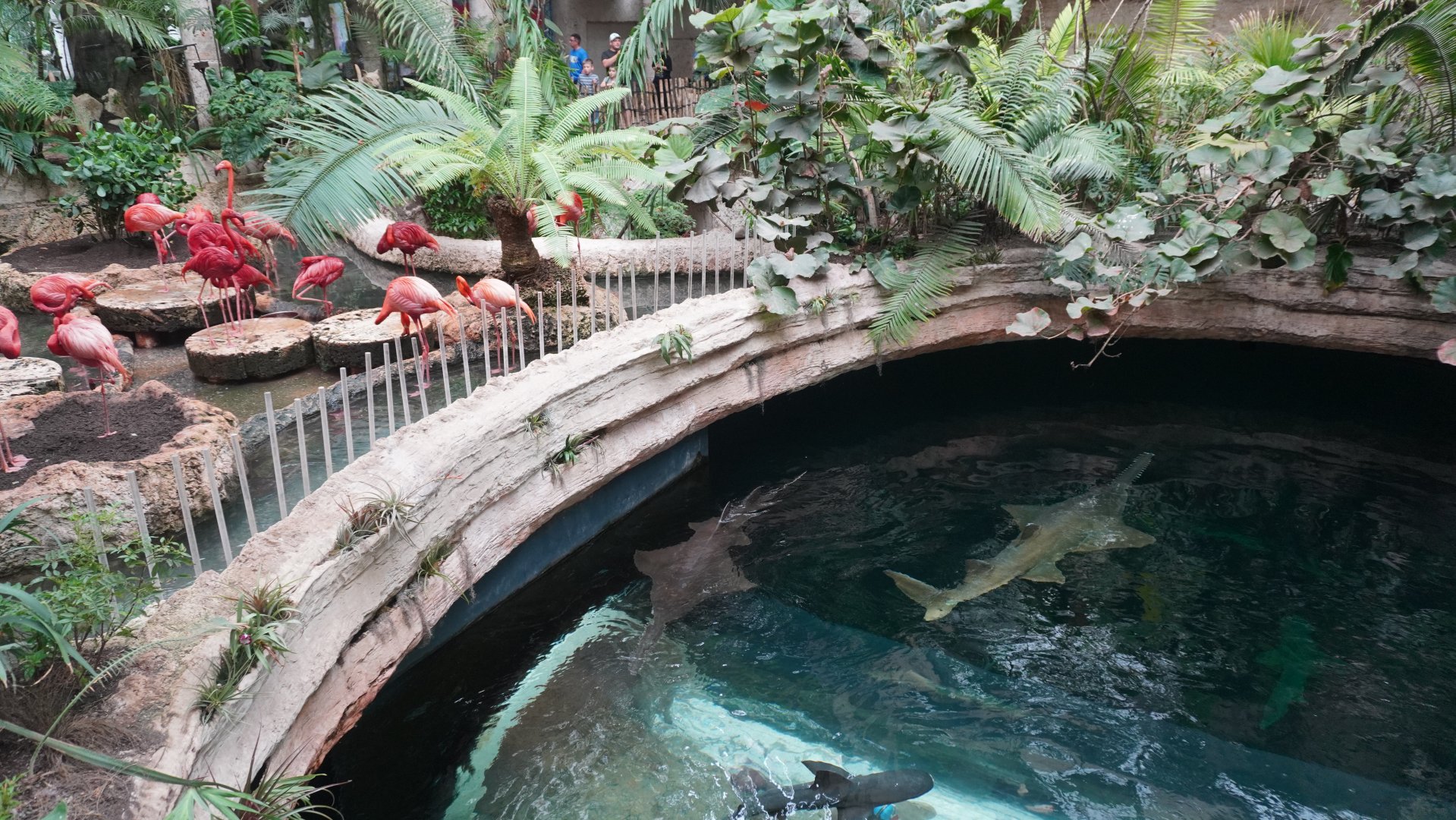 Apr. 2025 - Mundo Maya - Cenote (From Above)