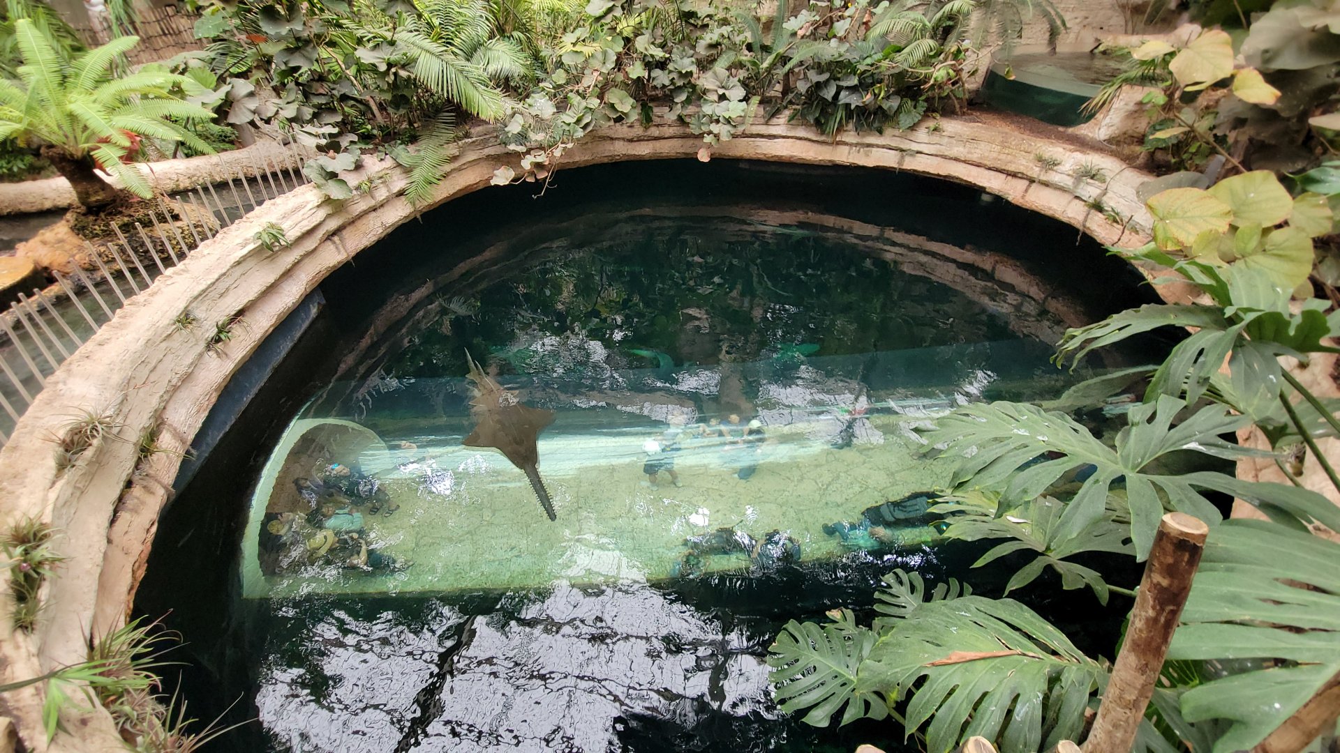 Apr. 2025 - Mundo Maya - Cenote (From Above)