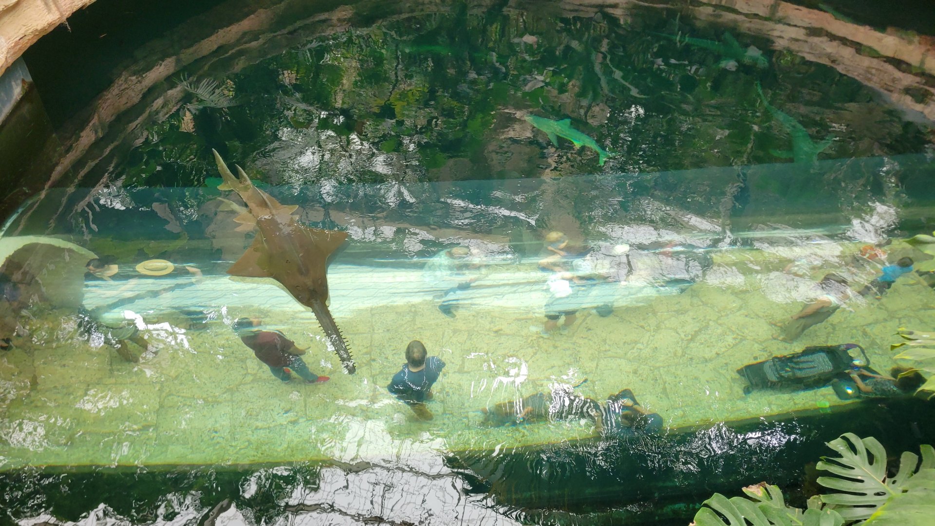 Apr. 2025 - Mundo Maya - Cenote (From Above)