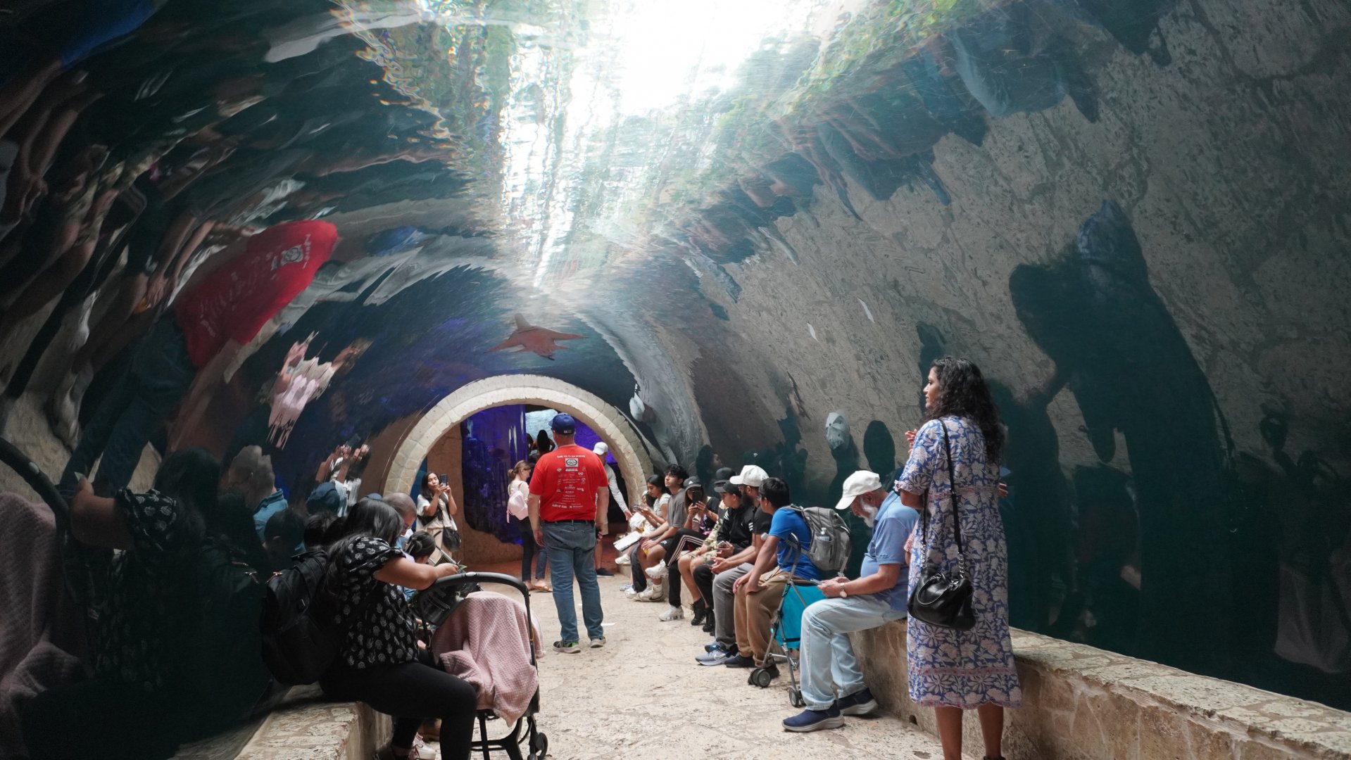 Apr. 2025 - Mundo Maya - Cenote