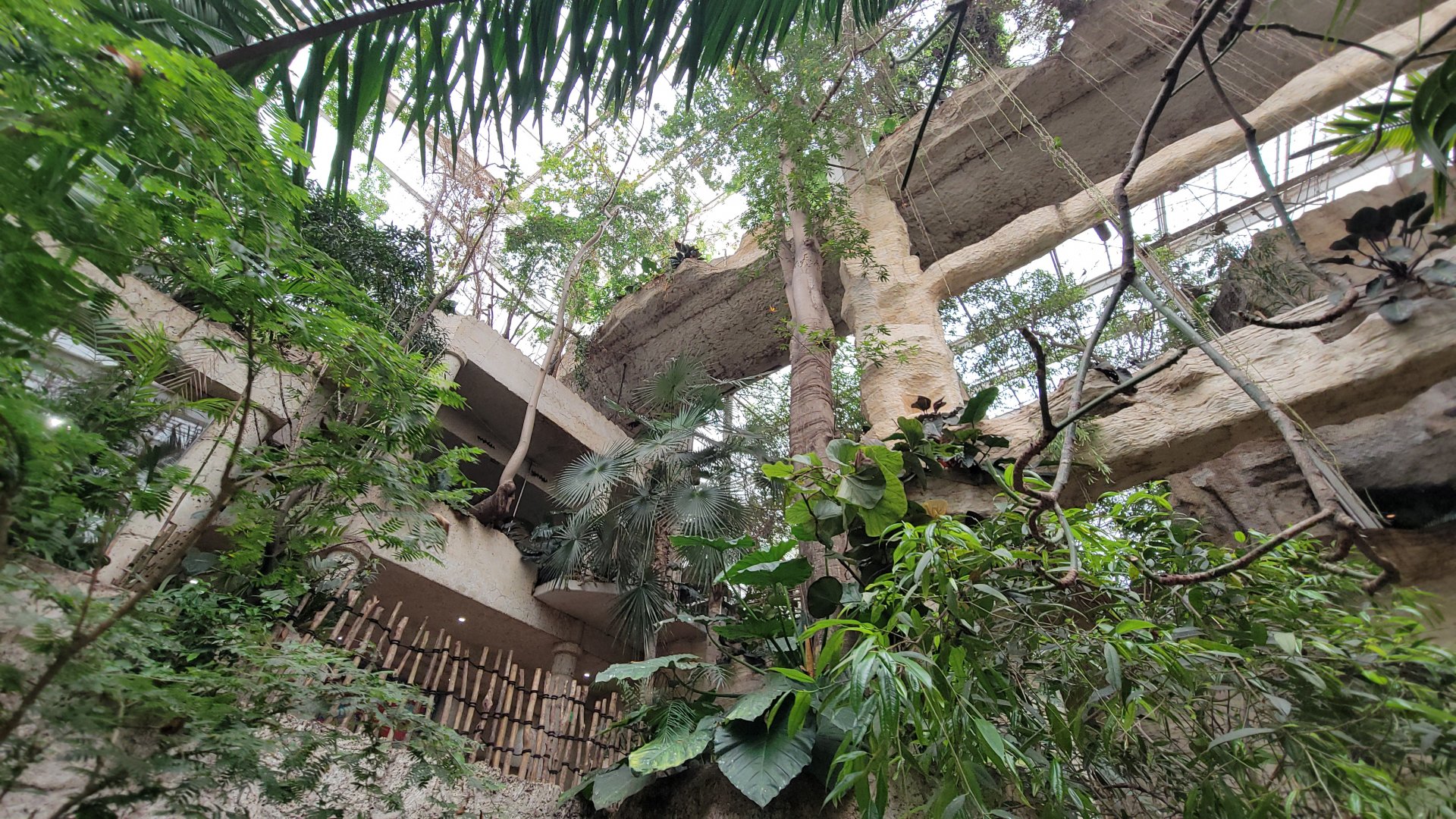 Apr. 2025 - Mundo Maya - Eagle + Macaw + Quetzel Exhibits