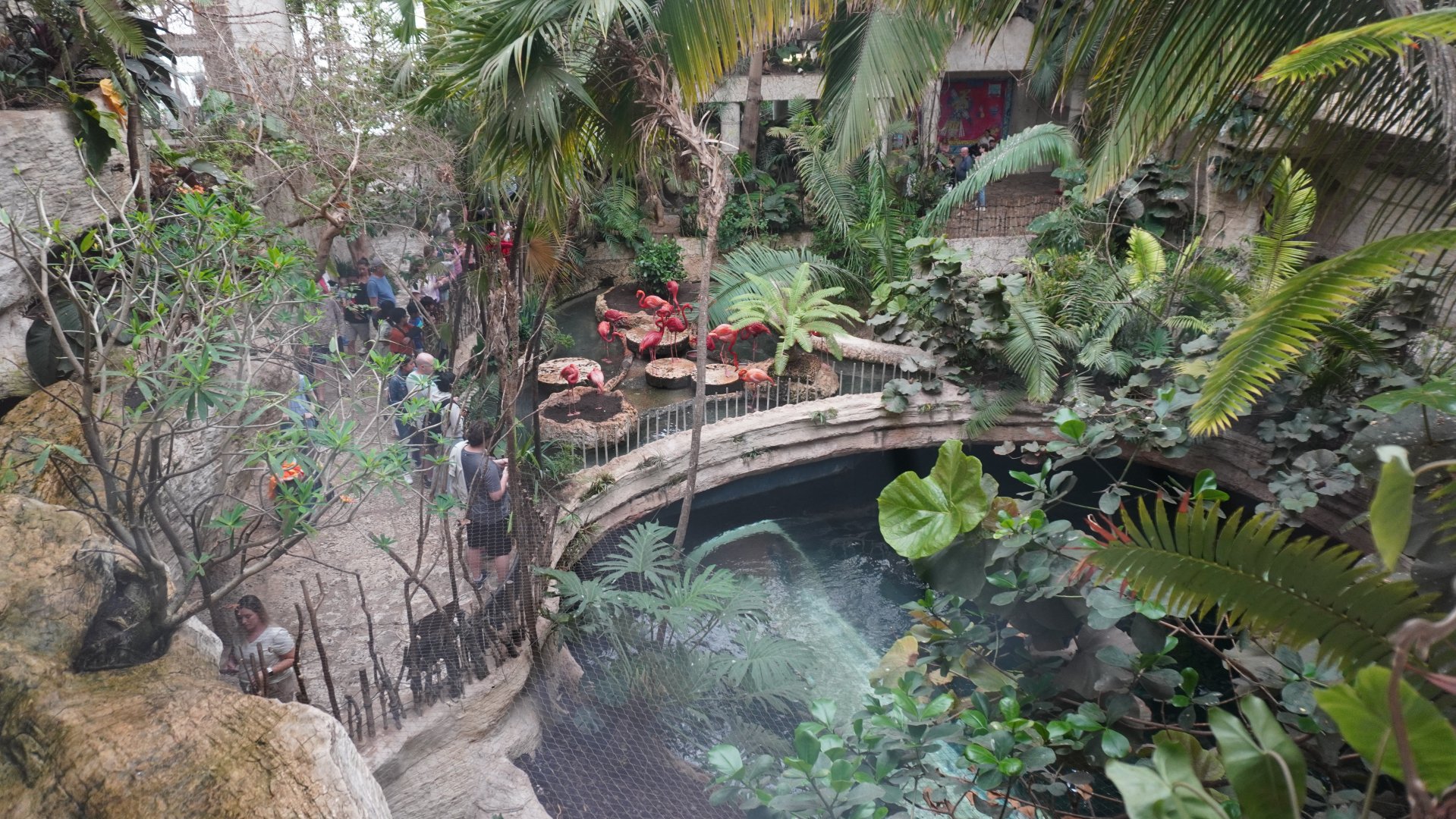 Apr. 2025 - Mundo Maya - (from Cafe Maya)