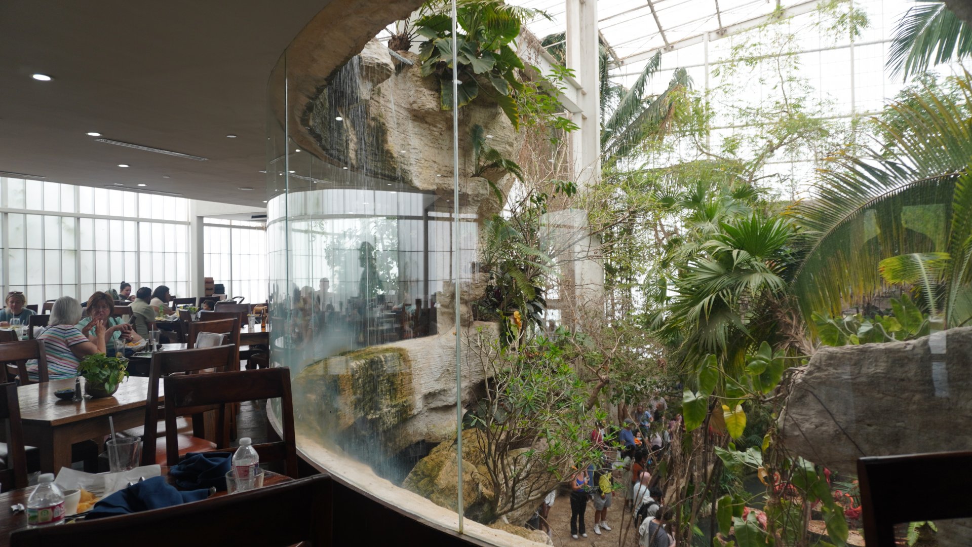 Apr. 2025 - Mundo Maya - (from Cafe Maya)