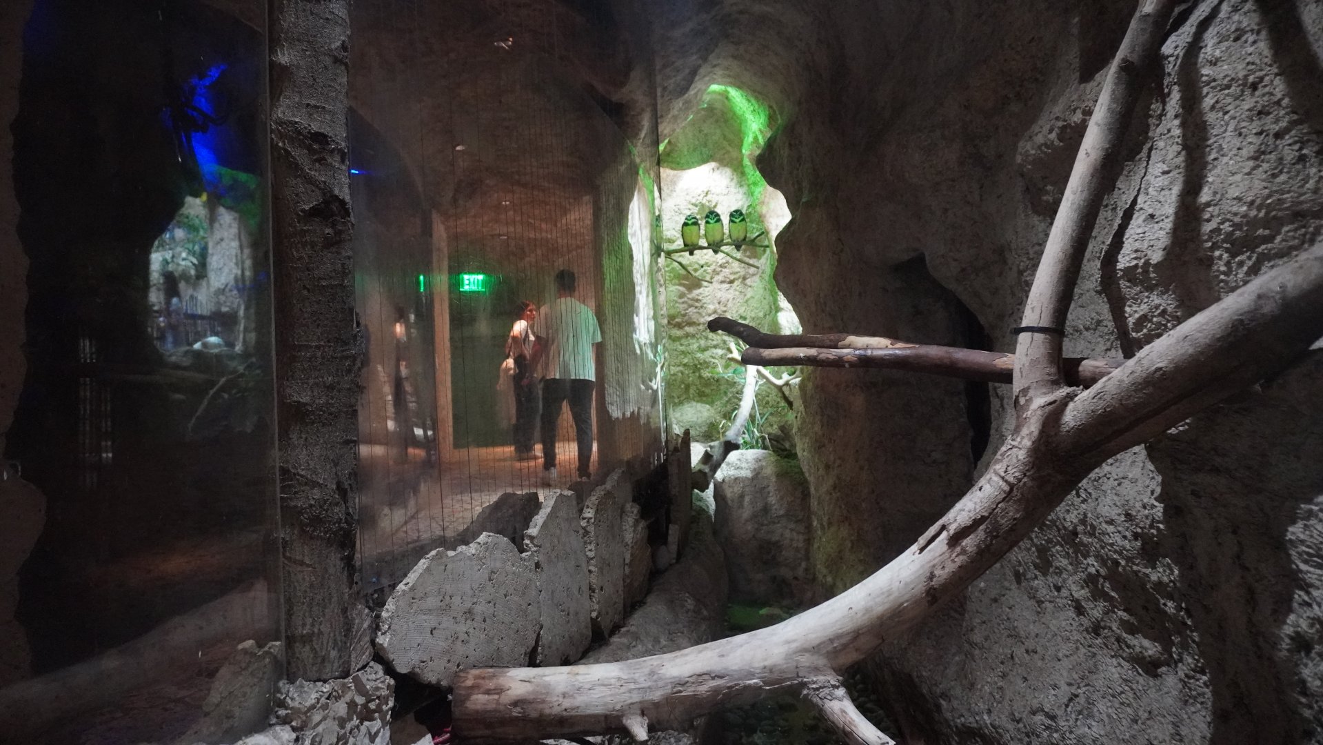 Apr. 2025 - Mundo Maya - House of Zots - Spectacled Owl Exhibit