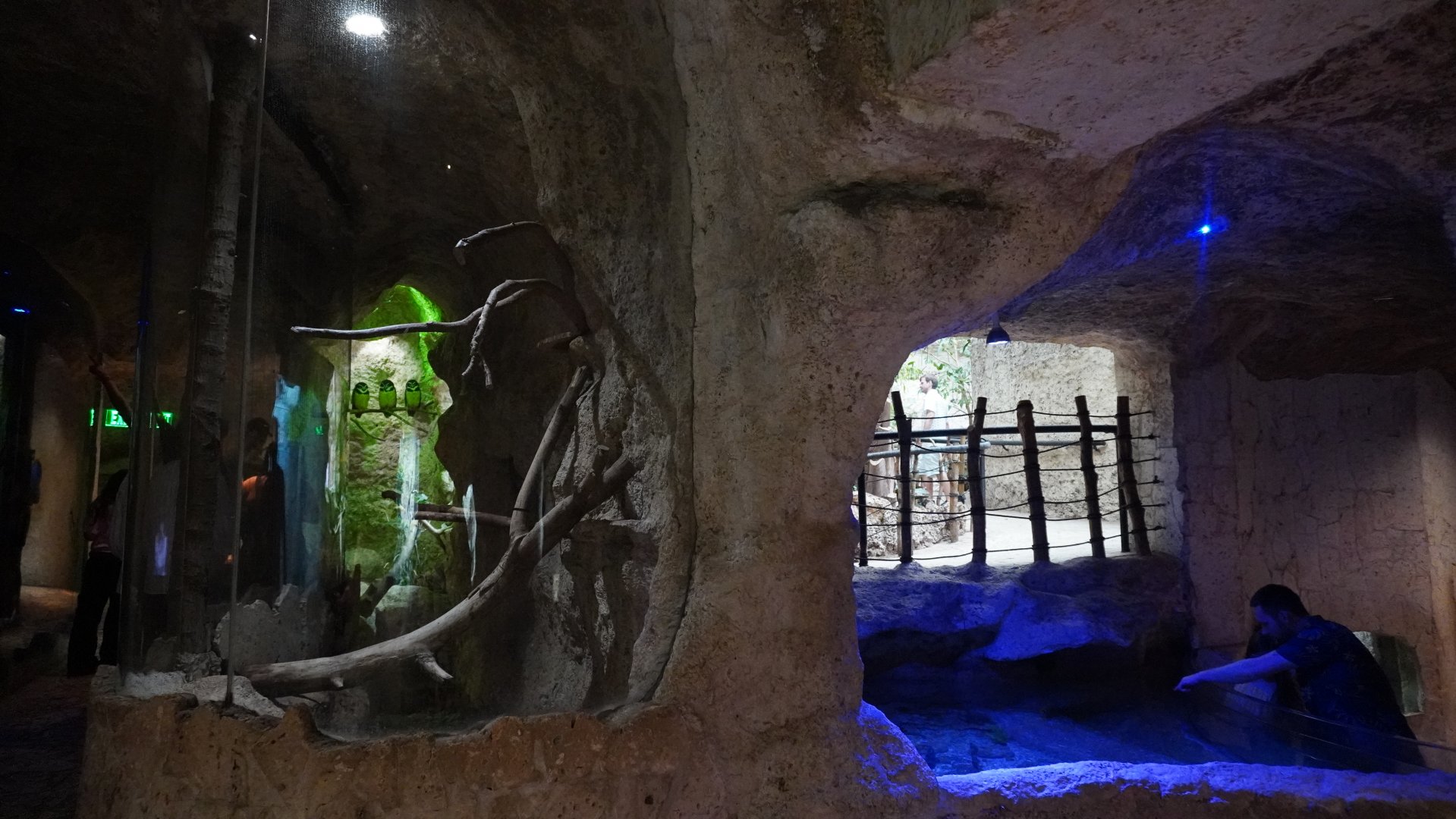 Apr. 2025 - Mundo Maya - House of Zots - Spectacled Owl Exhibit