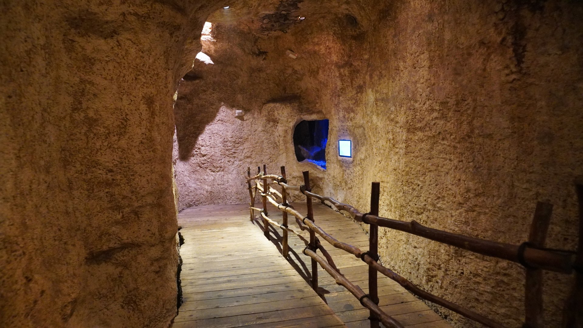 Apr. 2025 - Mundo Maya - Lionfish/Spotted Eel Tank