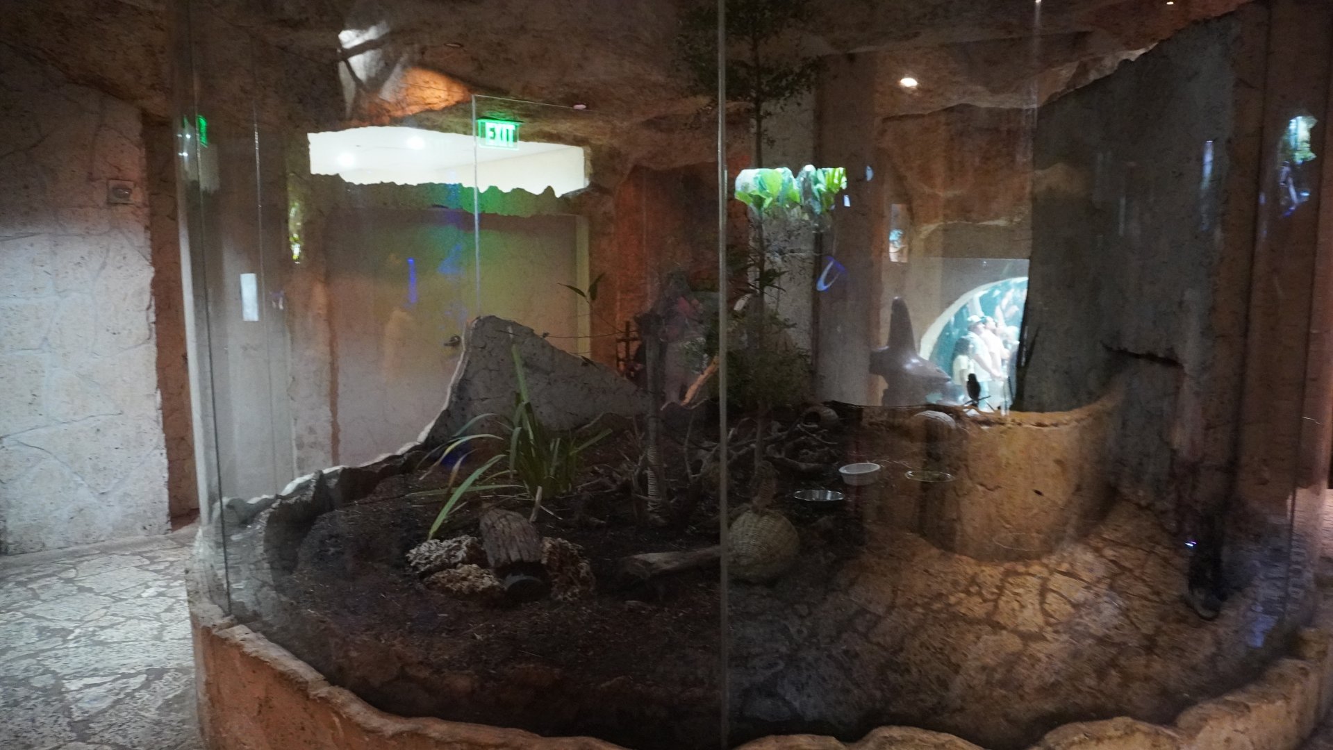 Apr. 2025 - Mundo Maya - Los Petenes