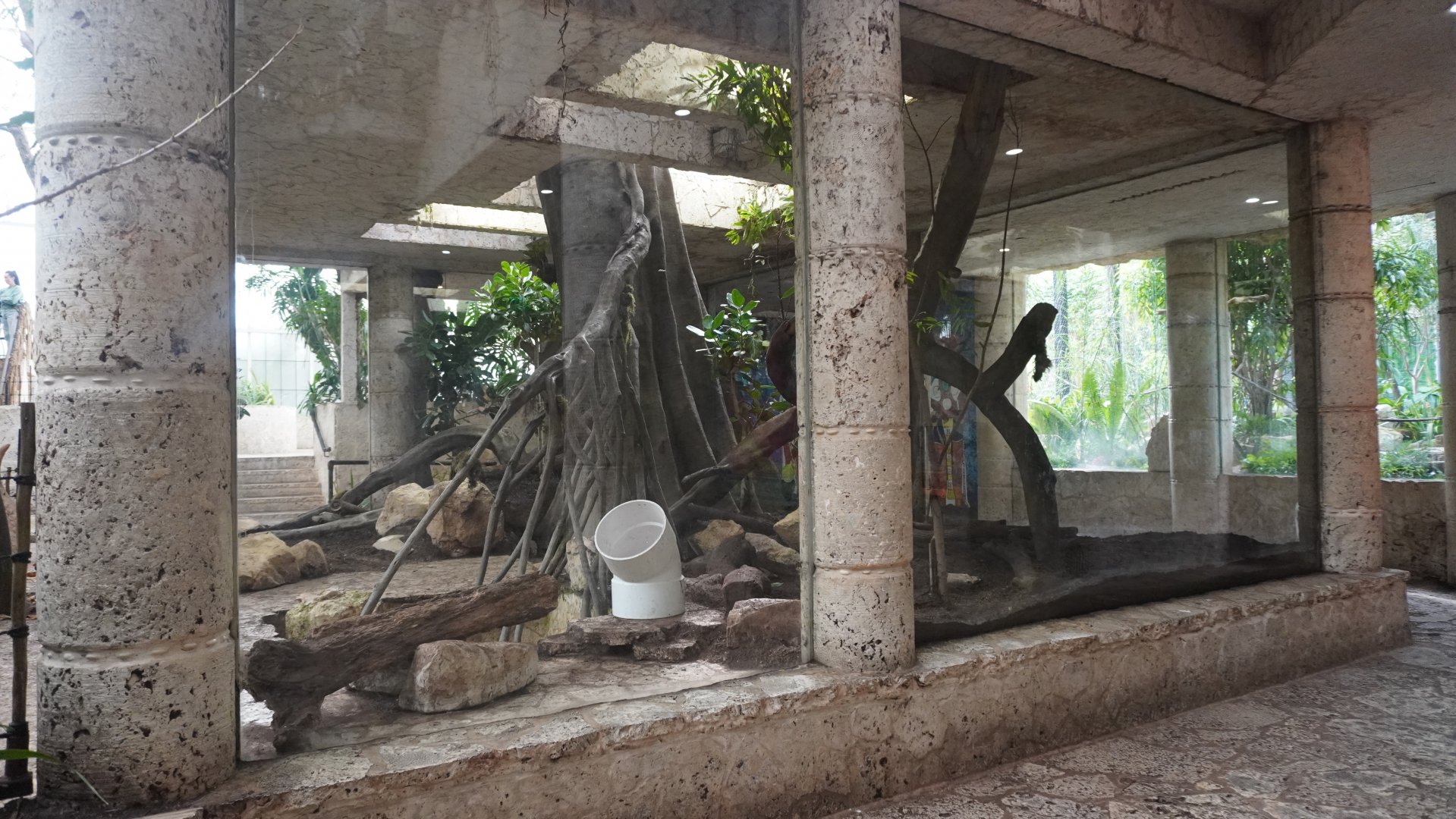 Apr. 2025 - Mundo Maya - Mayan Temple - Ocelot Exhibit