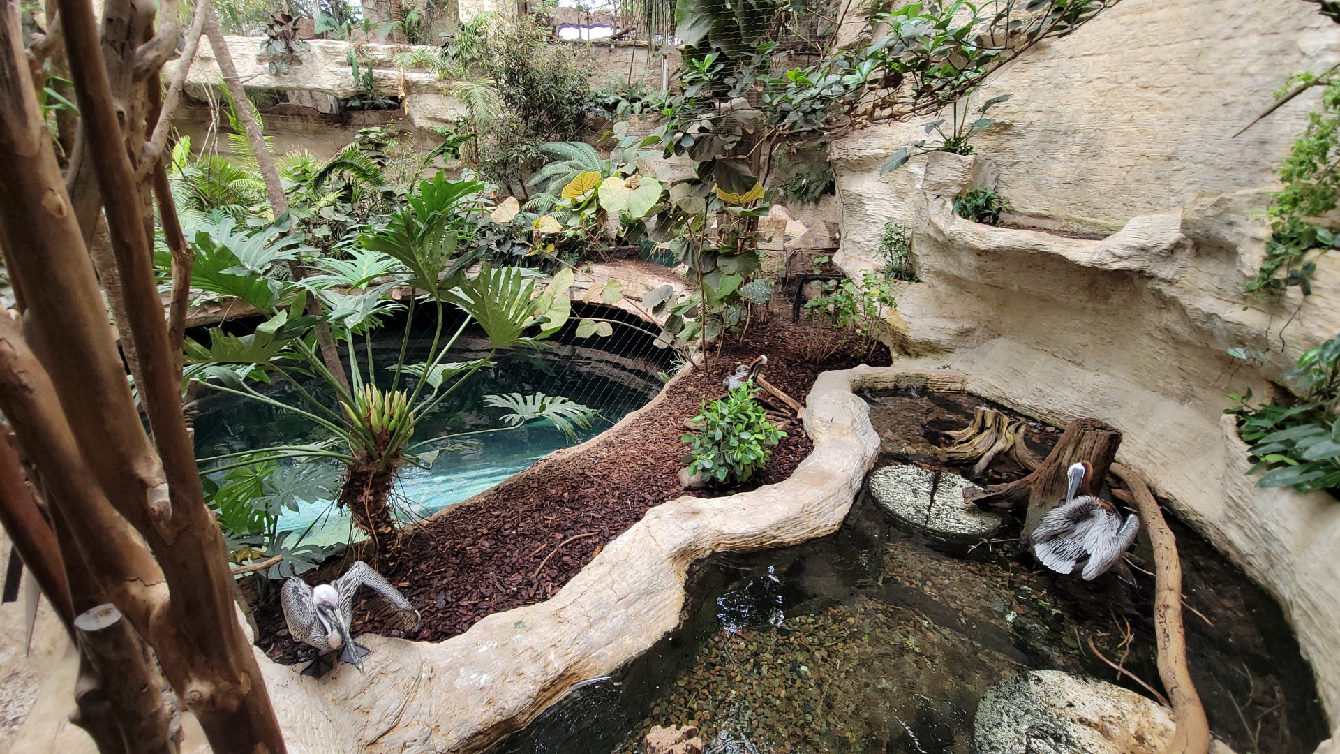 Apr. 2025 - Mundo Maya - Pelican Reef