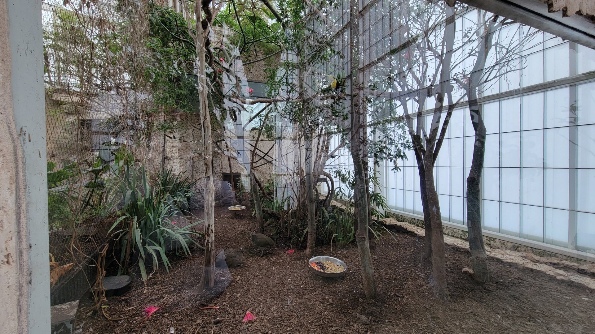 Apr. 2025 - Mundo Maya - Selva Maya