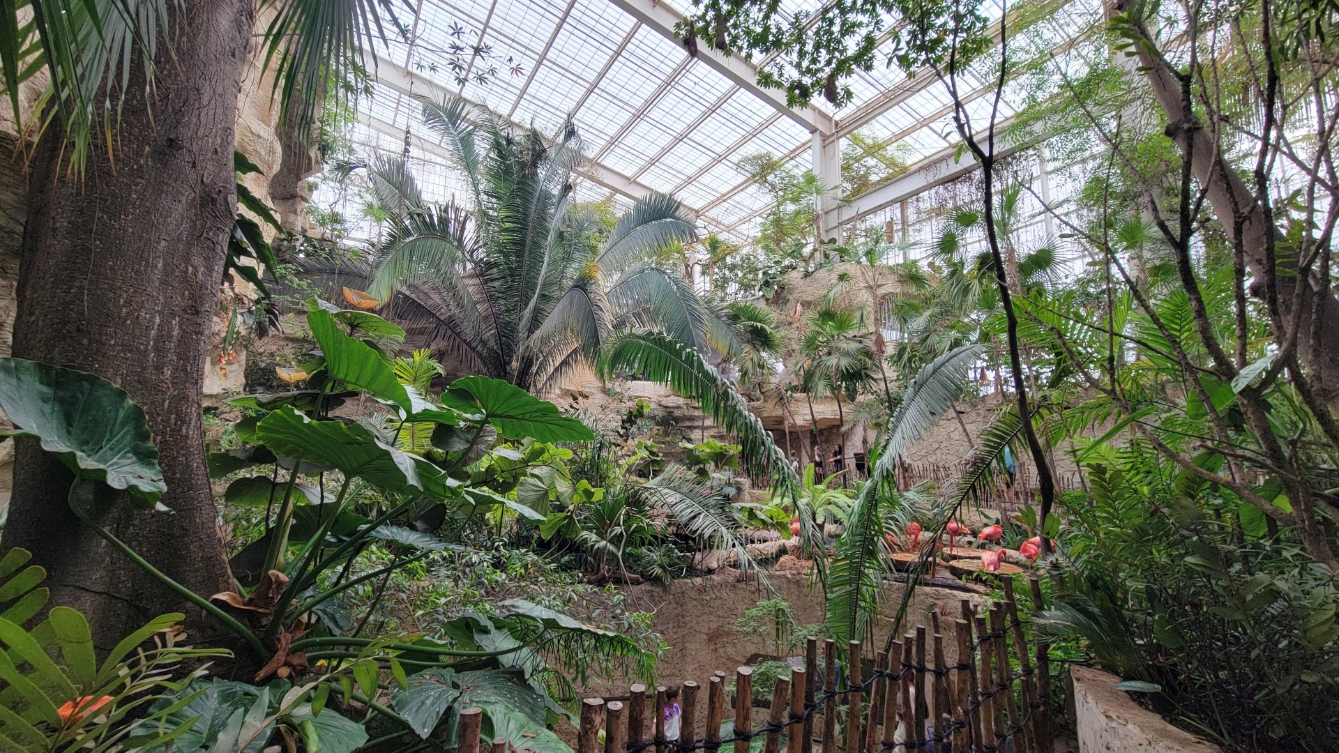 Apr. 2025 - Mundo Maya