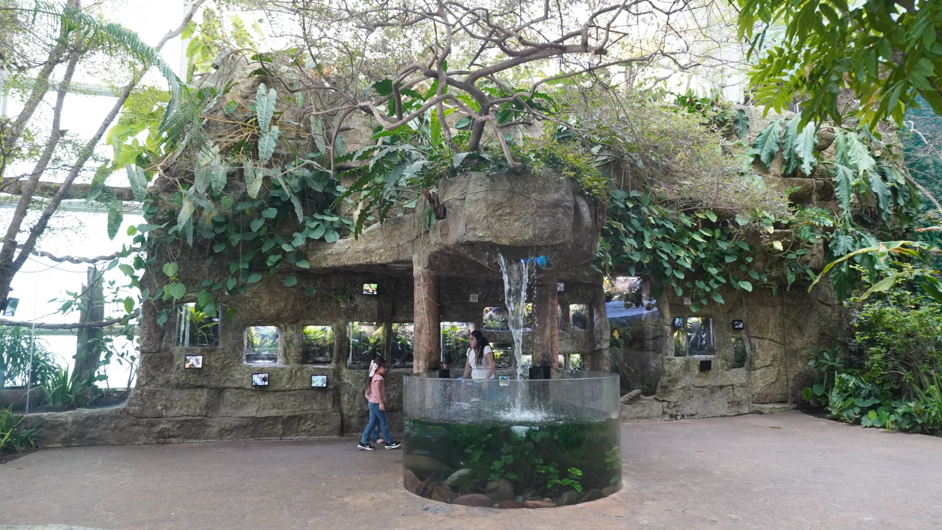 Apr. 2025 - Orinoco Rainforest: Cloud Forest - Sloth Forest - Various Frog Exhibits + Cotton Top Tamarin