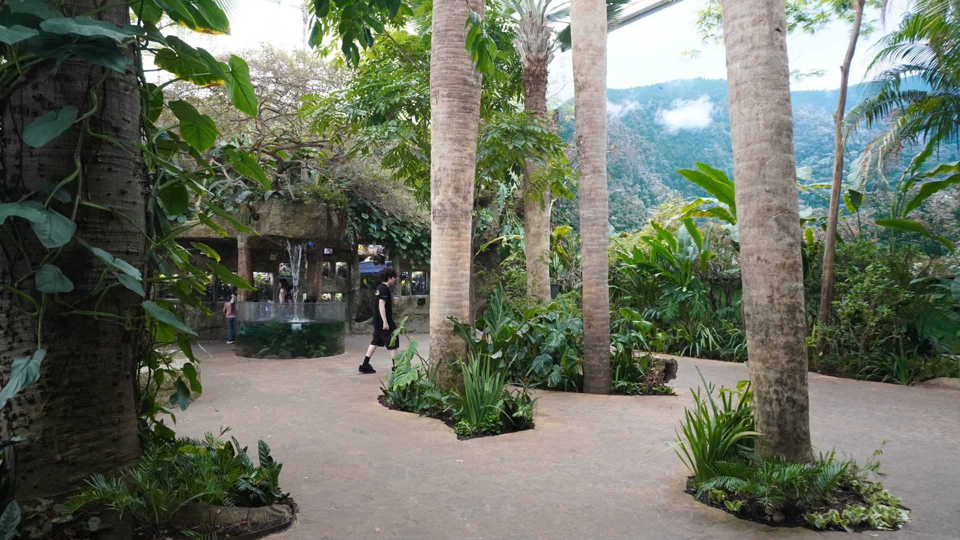 Apr. 2025 - Orinoco Rainforest: Cloud Forest - Sloth Forest