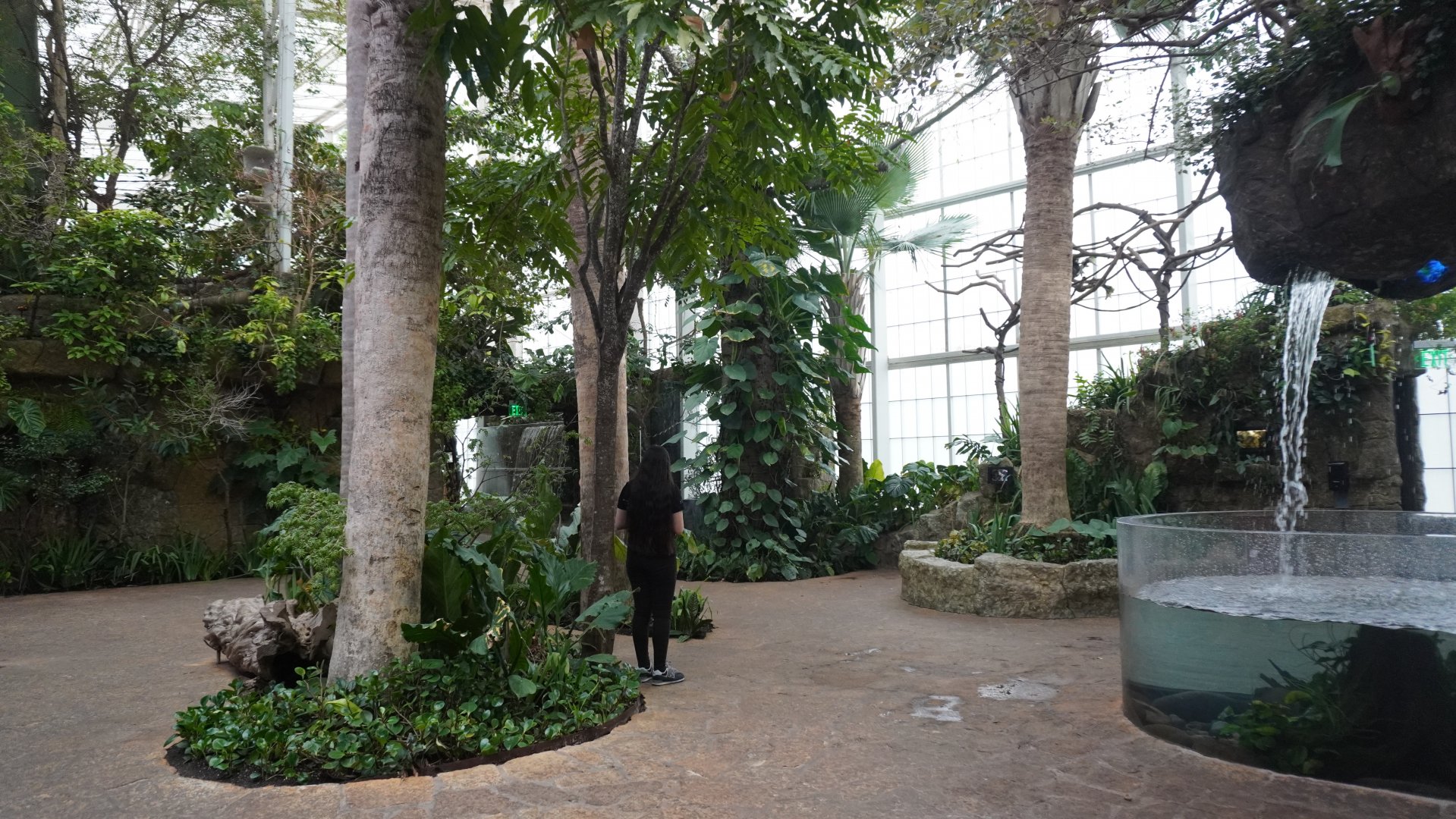 Apr. 2025 - Orinoco Rainforest: Cloud Forest - Sloth Forest