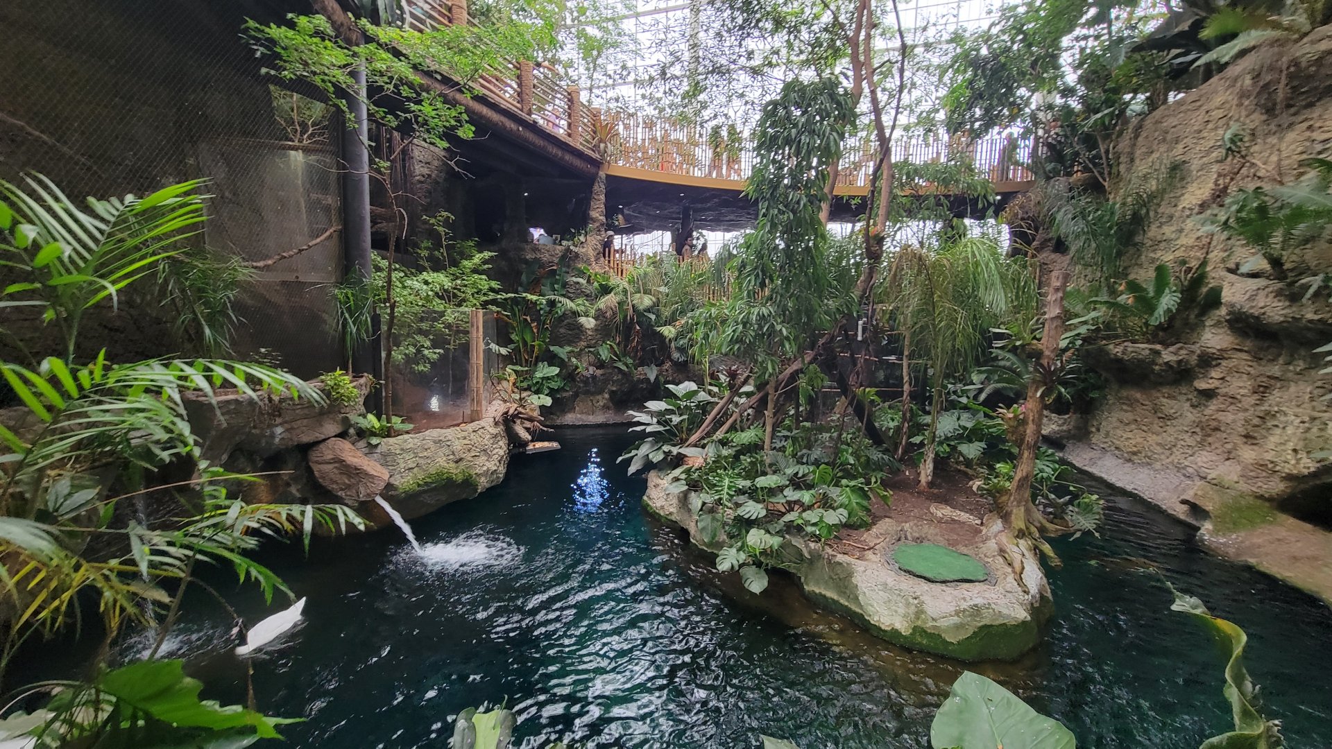 Apr. 2025 - Orinoco Rainforest: Understory - Monkey Island + Manatee Exhibit