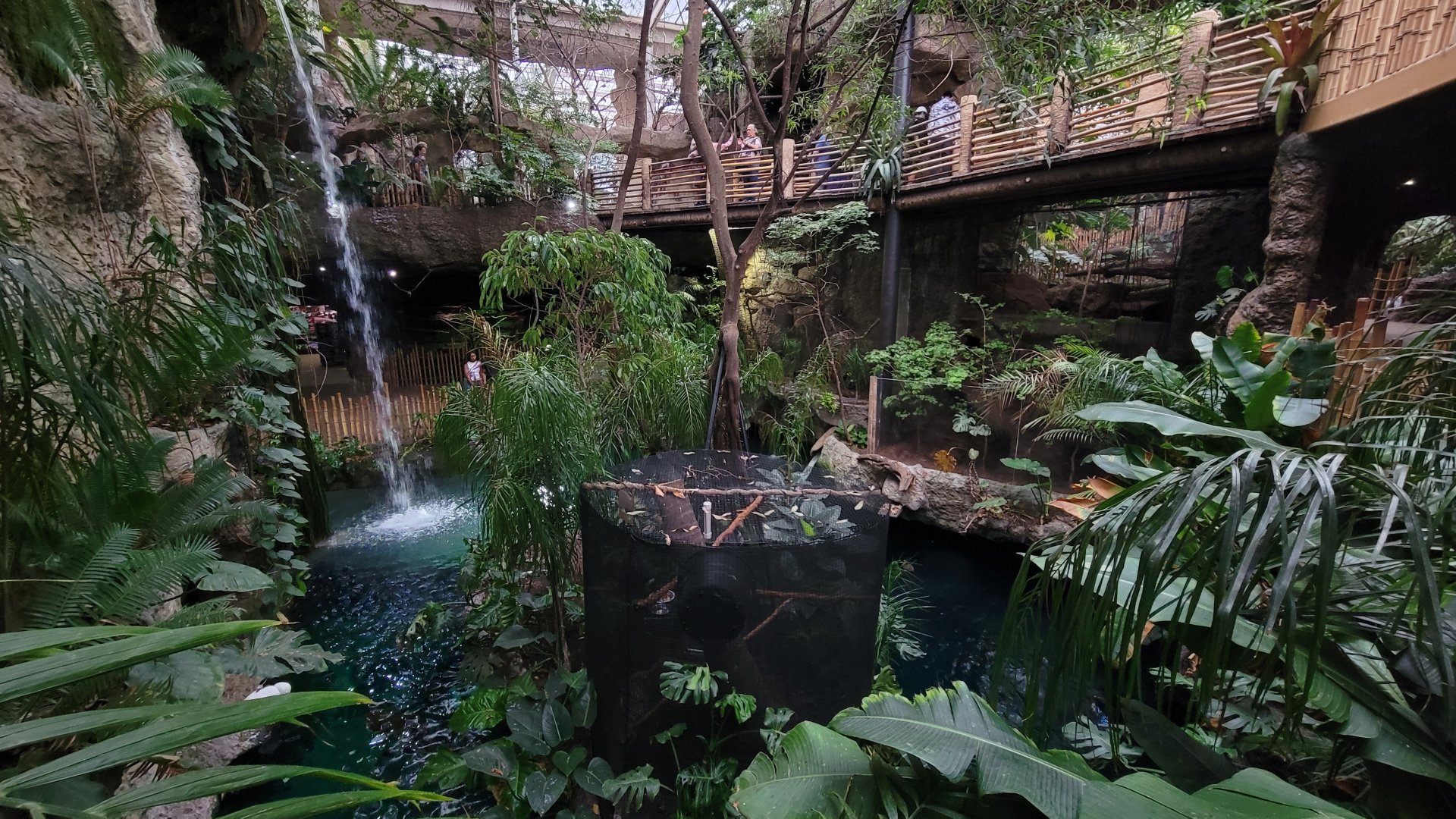 Apr. 2025 - Orinoco Rainforest: Understory - Monkey Island + Manatee Exhibit