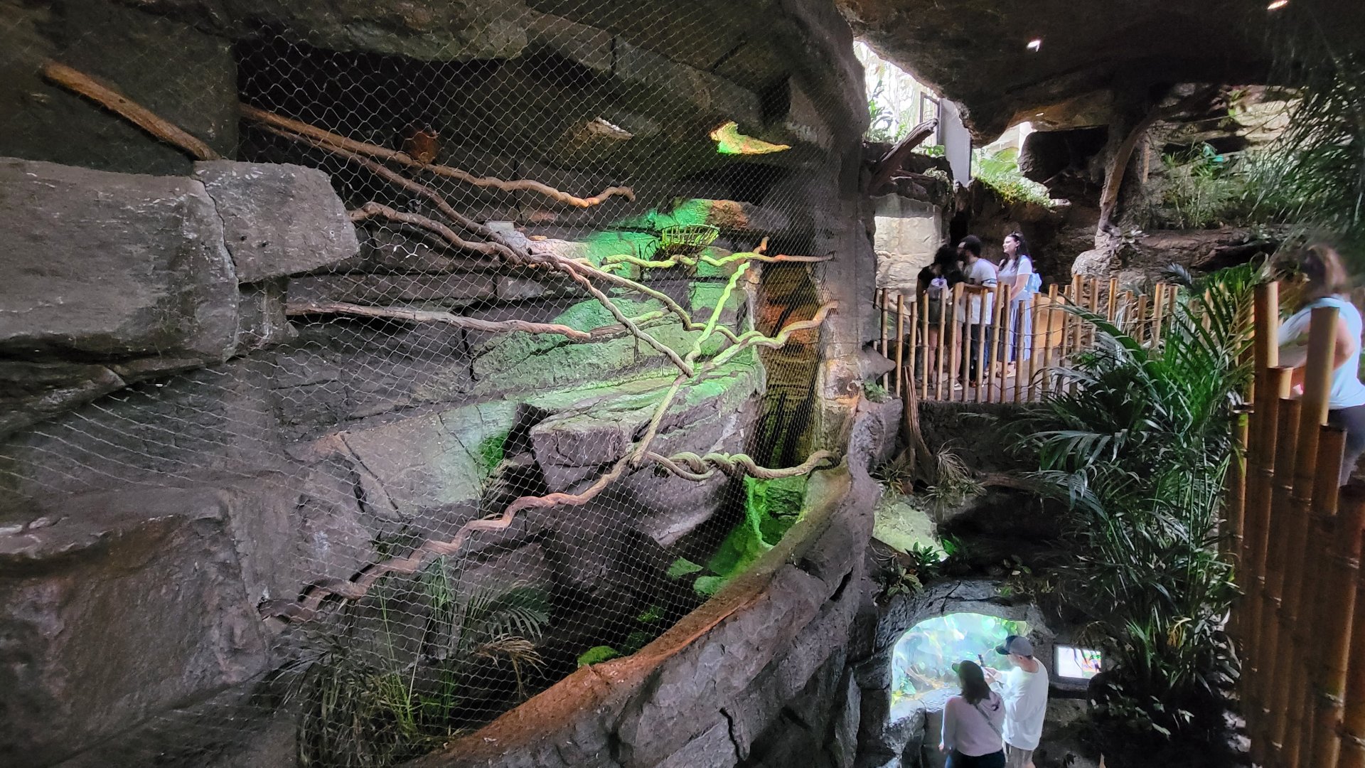 Apr. 2025 - Orinoco Rainforest: Understory - Nocturnal Curassow & Hoffman's Two-toed Sloth Exhibit