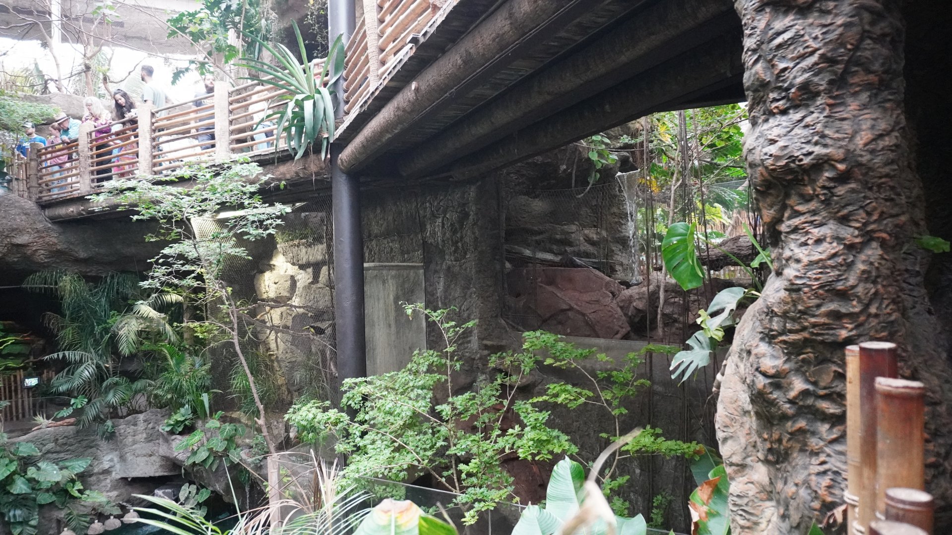 Apr. 2025 - Orinoco Rainforest: Understory - Otter + Toucan Exhibits