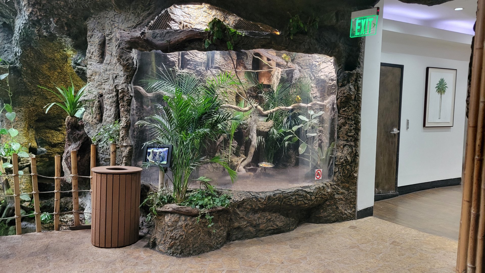 Apr. 2025 - Orinoco Rainforest: Understory - Saffron Toucanet & Elegant Crested Tinamou Exhibit