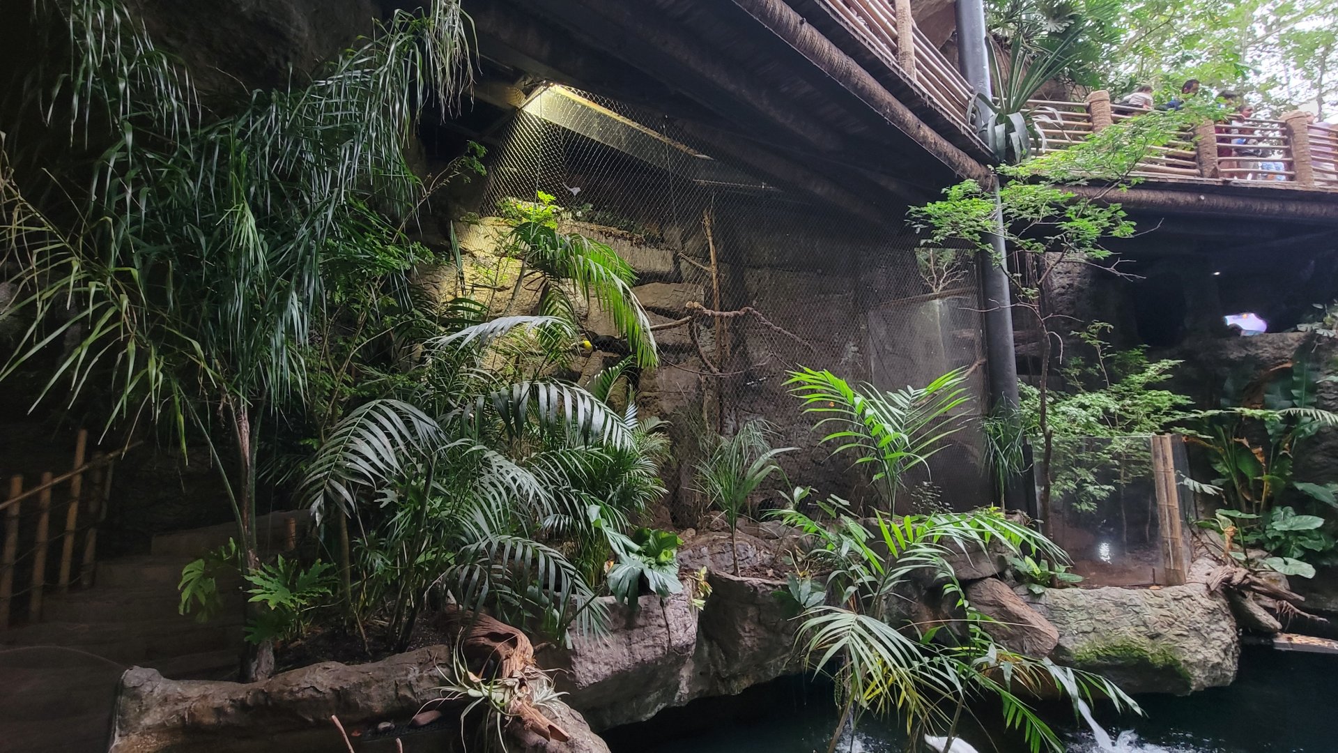 Apr. 2025 - Orinoco Rainforest: Understory - Toucan + Giant Otter Exhibits