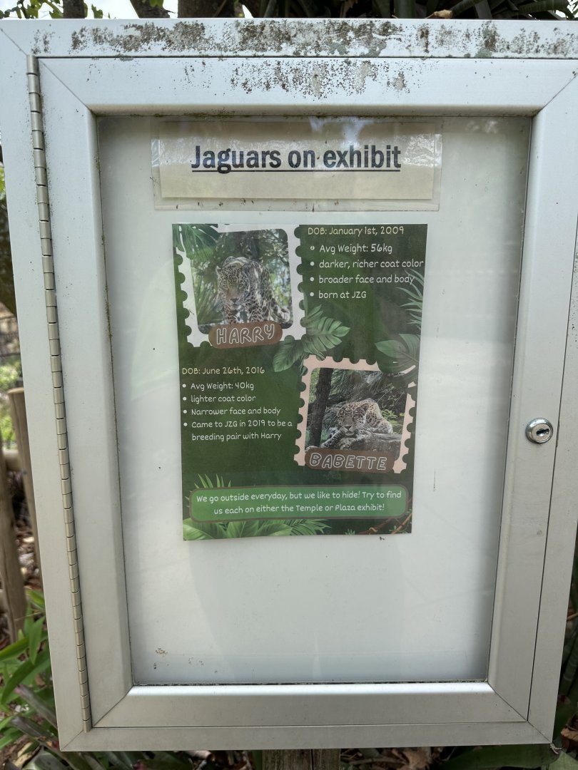 Apr. 2025 - Range of the Jaguar - Updated Jaguar Signage