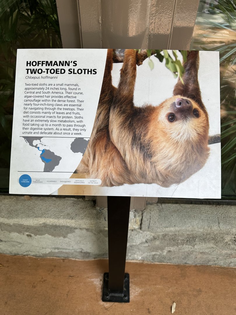 Apr. 2025 - Two-Toed Sloth Signage