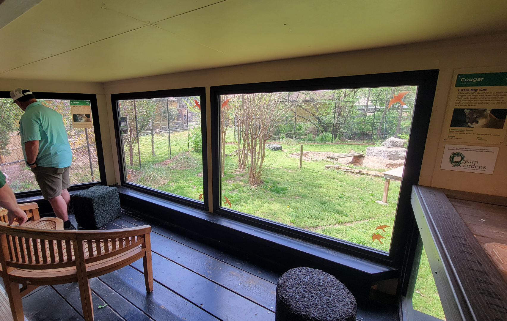 Apr. 2025 - Walkin’ the Tracks - Cougar Viewing