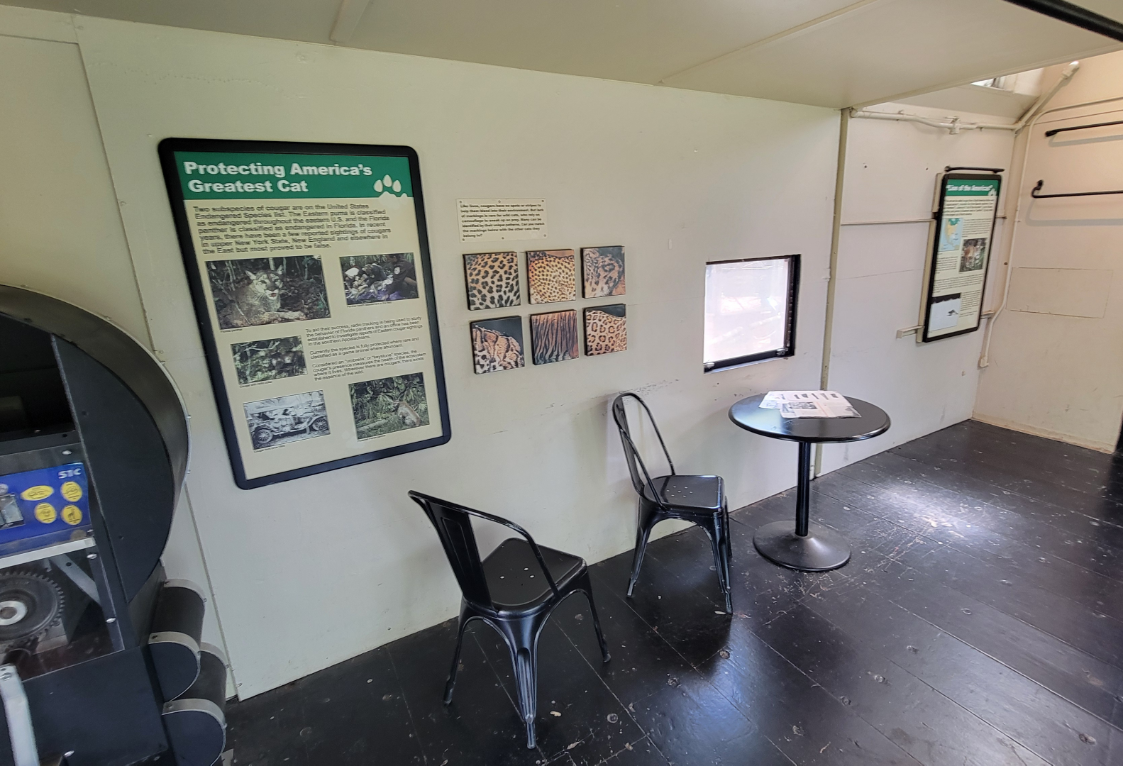 Apr. 2025 - Walkin’ the Tracks - Cougar Viewing