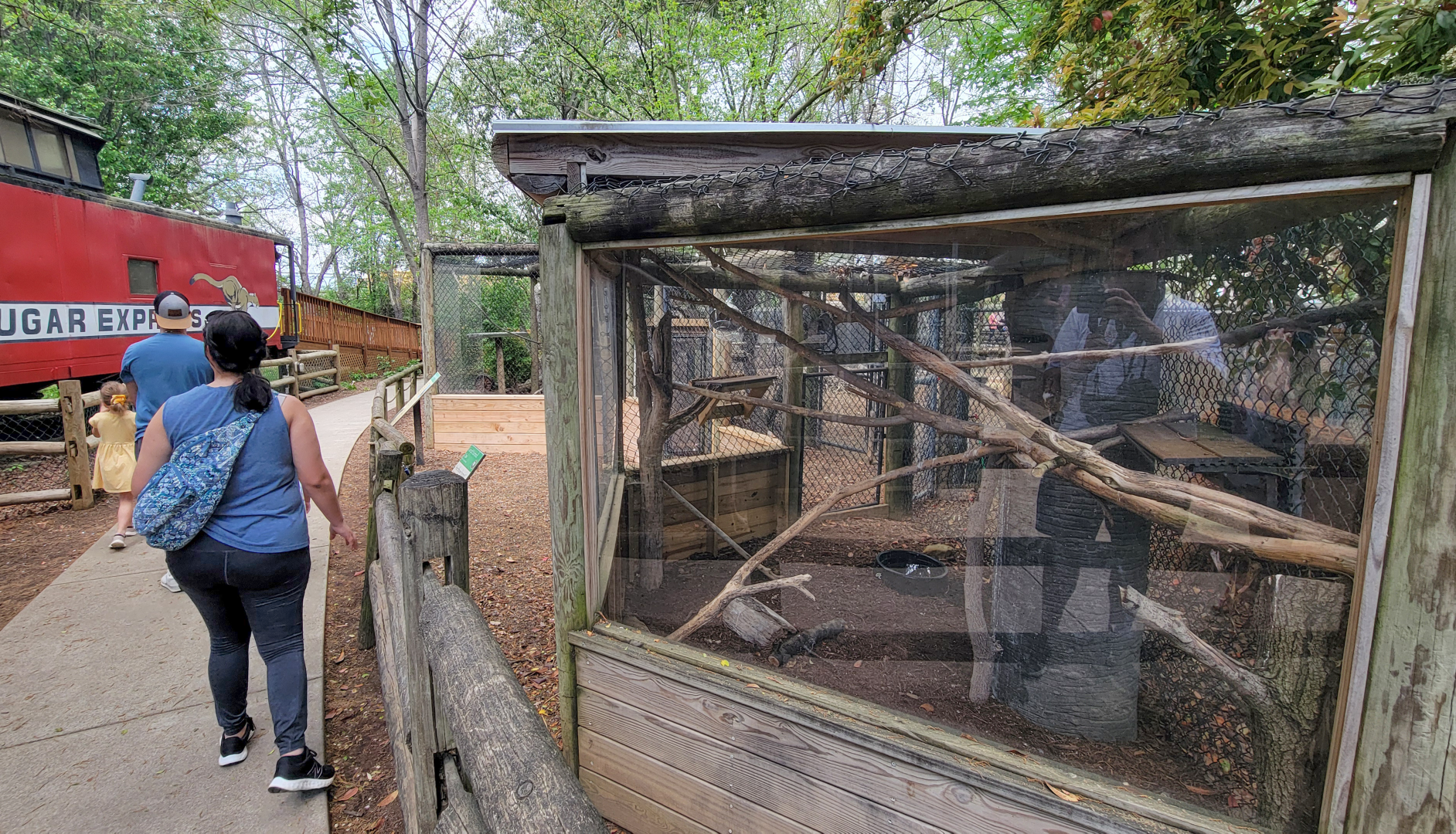 Apr. 2025 - Walkin’ the Tracks - Great Horned Owl + American Crow Exhibits