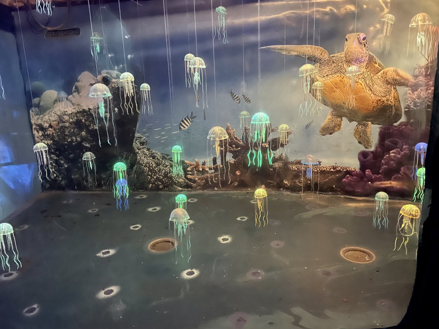April 2023- Jellyfish Art Display