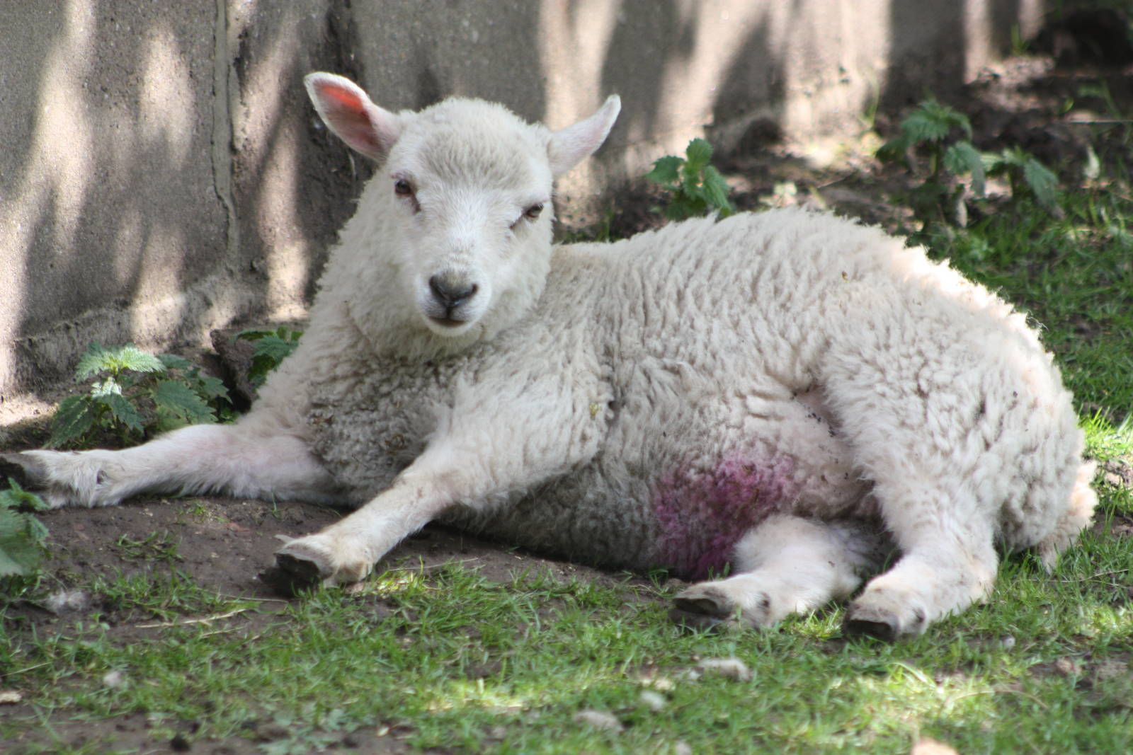 April, 25th May 2014