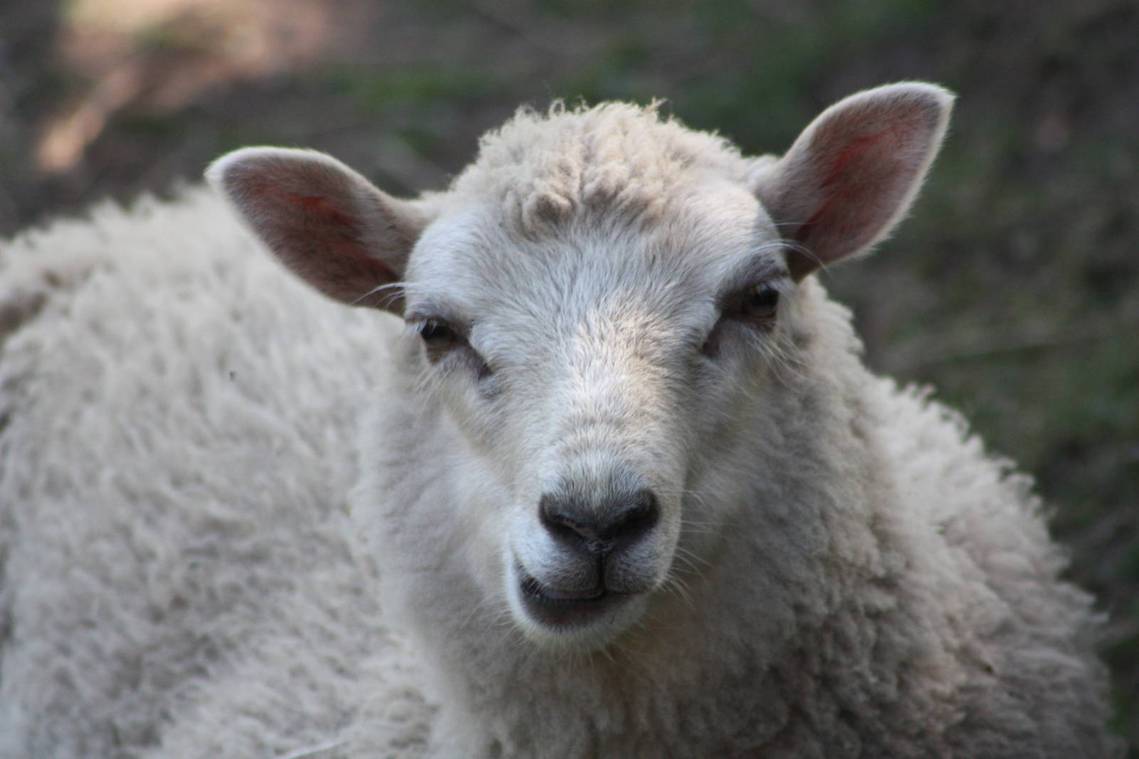 April, 29th June 2014