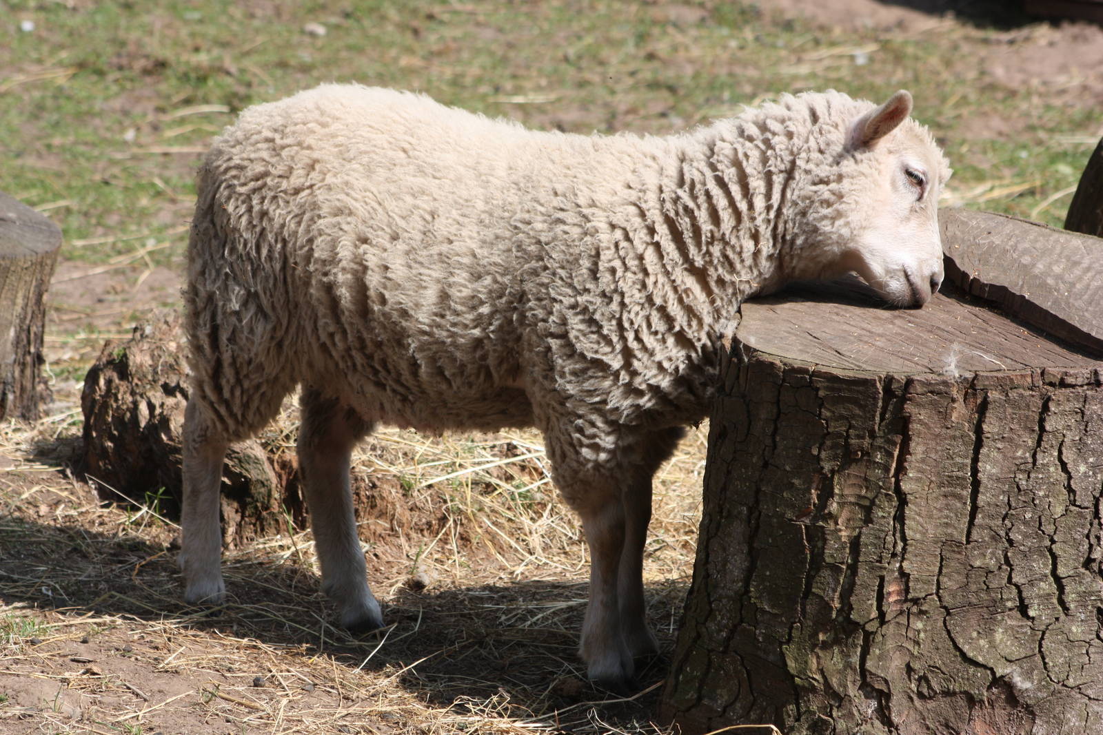 April, 30th June 2014